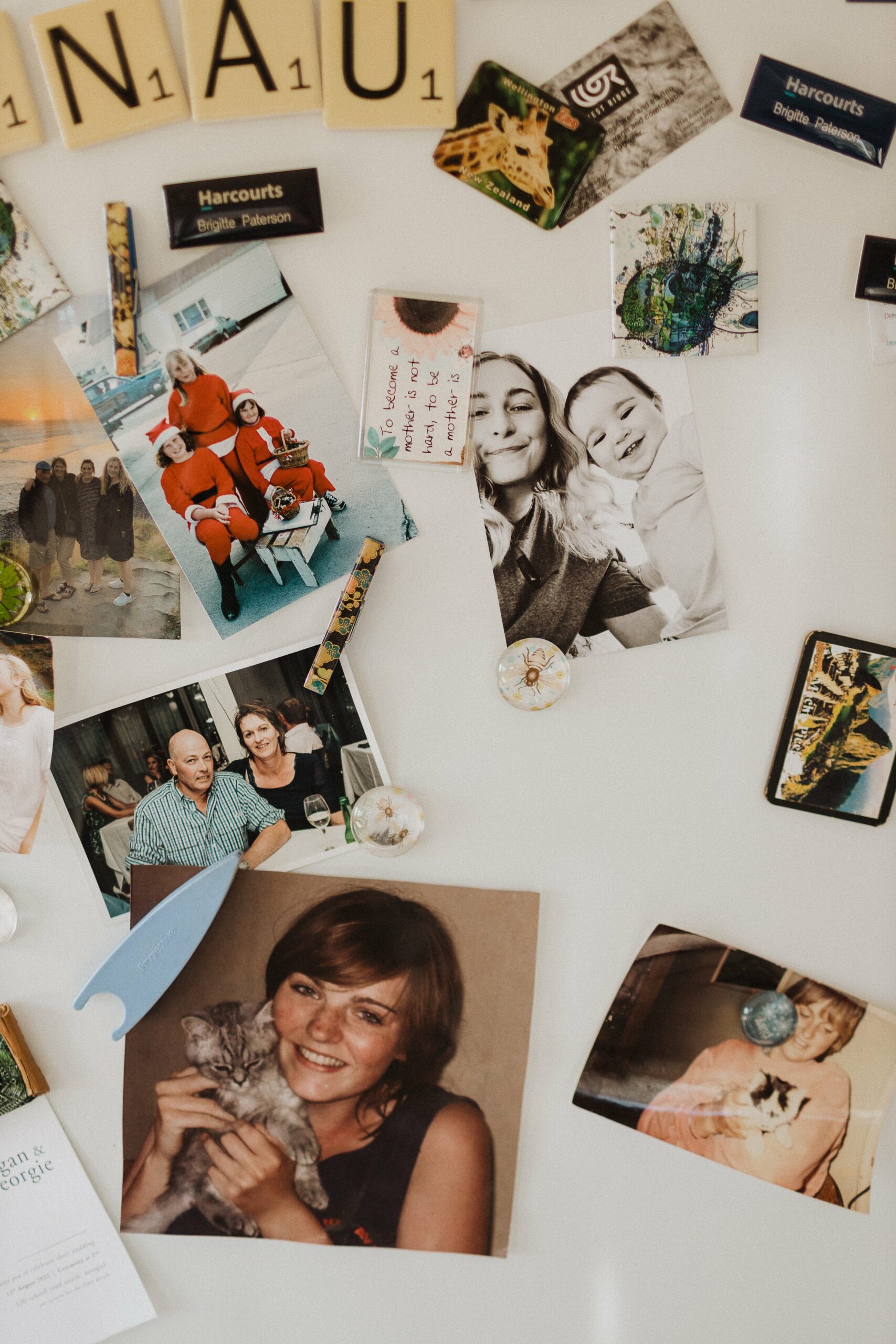 Photos on Zoe's busy fridge door at home