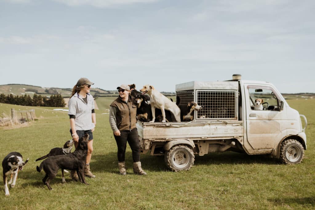 Two women and their dogs on a ute