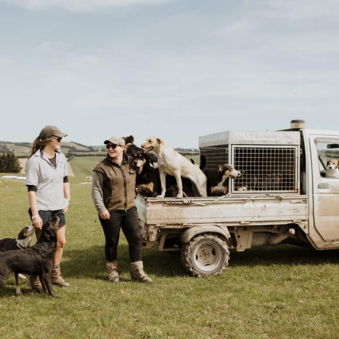 Two women and their dogs on a ute