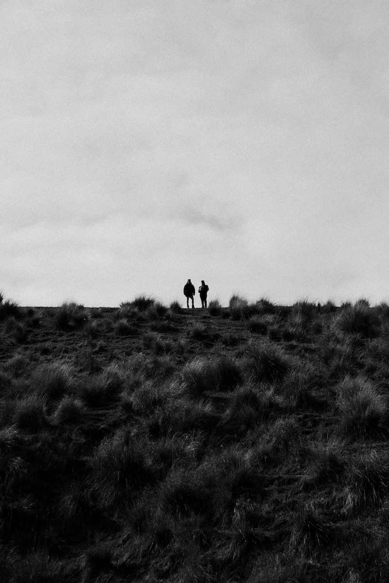Two people silhouetted on a hilltop