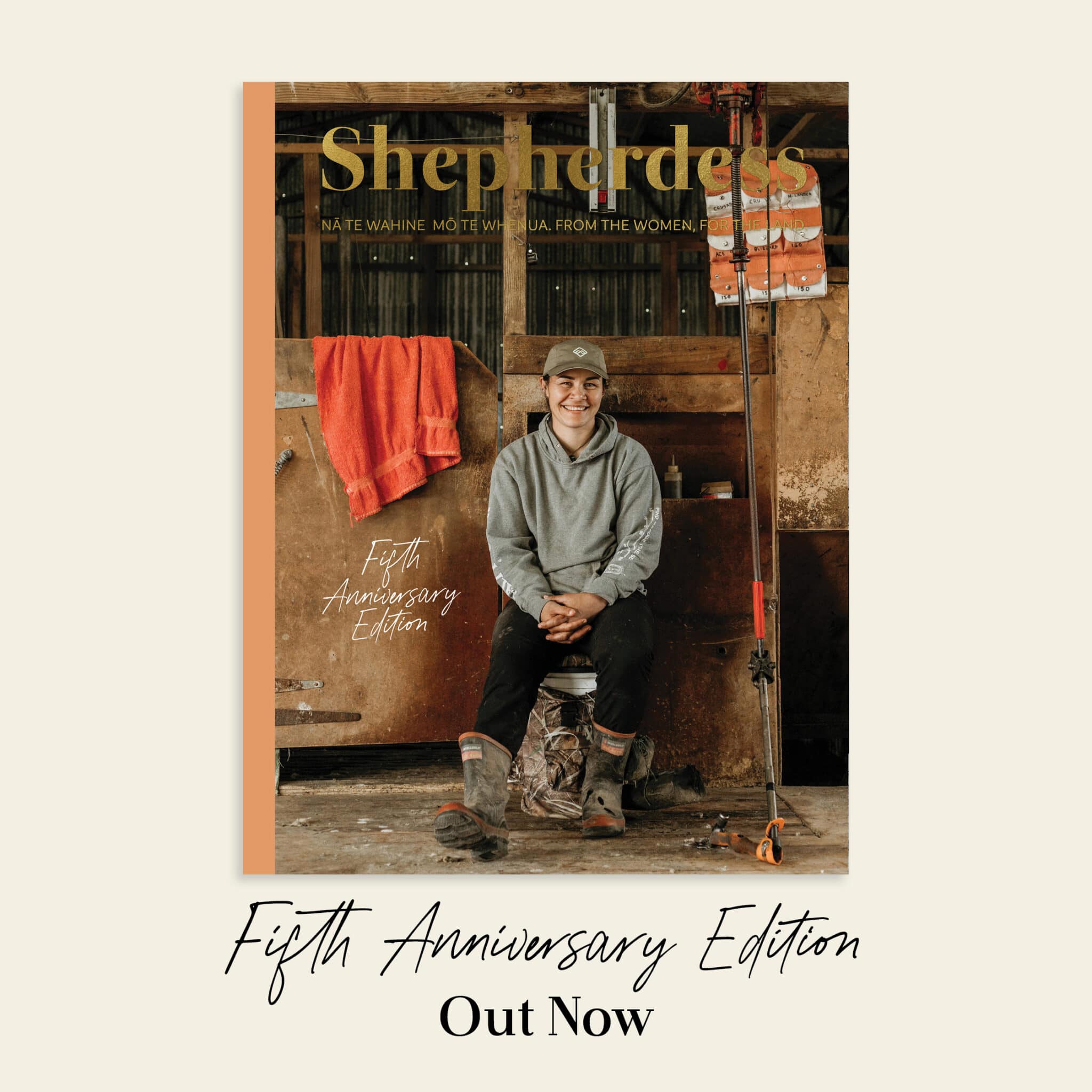 Autumn 25 OUT NOW FB2 (1)