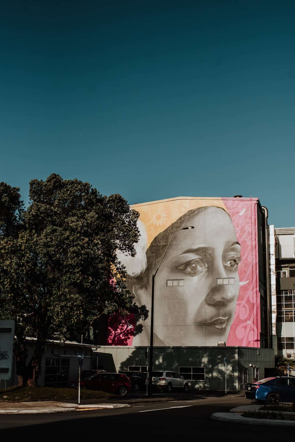 A large mural of wahine Māori leader Hana Te Hemara