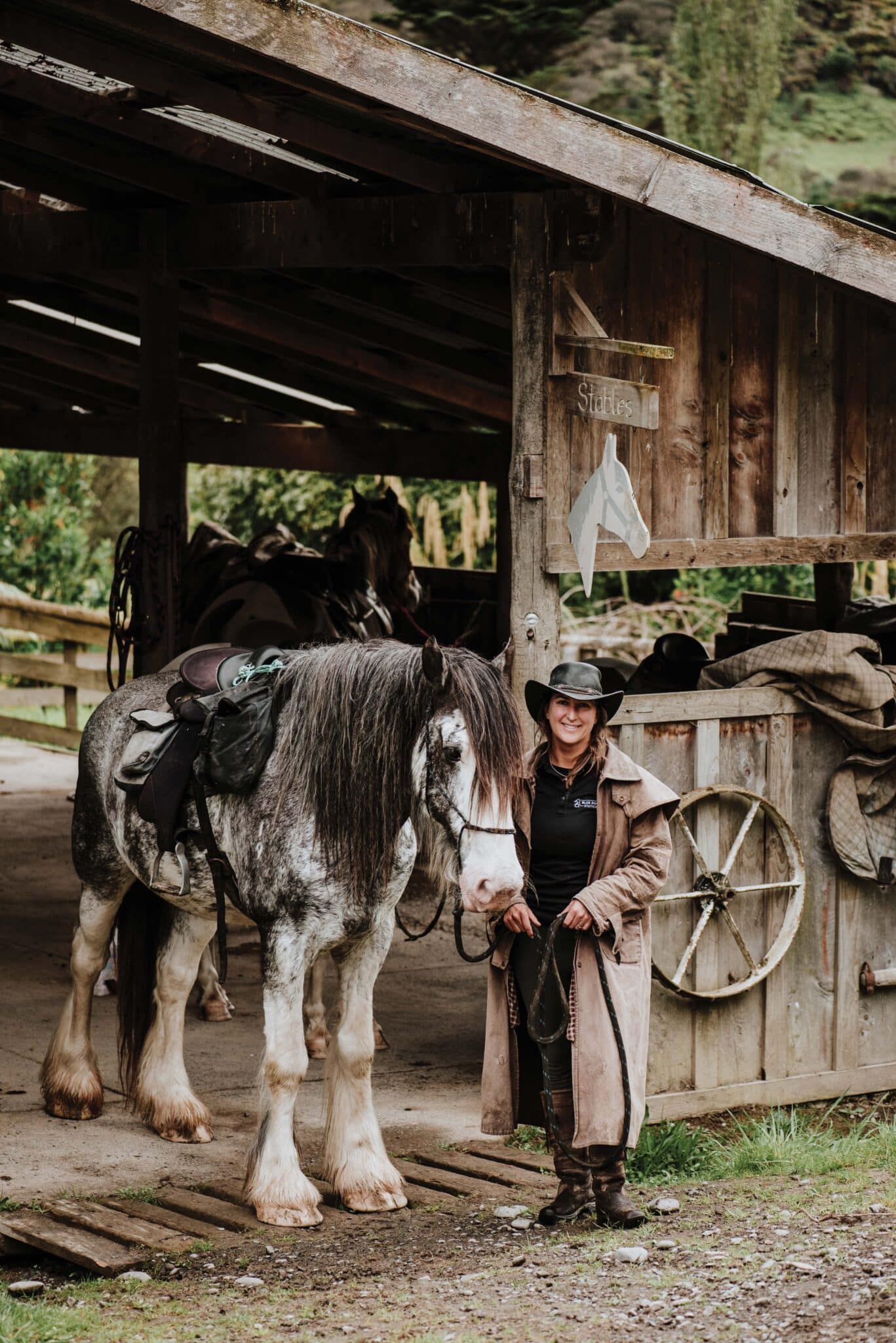 Sandy with Horatio. “He is a thirteen-year-old purebred Clydesdale. I got him as an unhandled,
unbroken stallion. He is the first horse I have broken in myself. It’s been an amazing learning journey. I follow
natural horsemanship principles, so we have a very special relationship and this really cool mutual respect for
each other. For a big horse, he is incredibly sensitive and light on his feet. I can move and direct him using my
energy and my body language. I love all of my horses, but Horatio is extra special.”