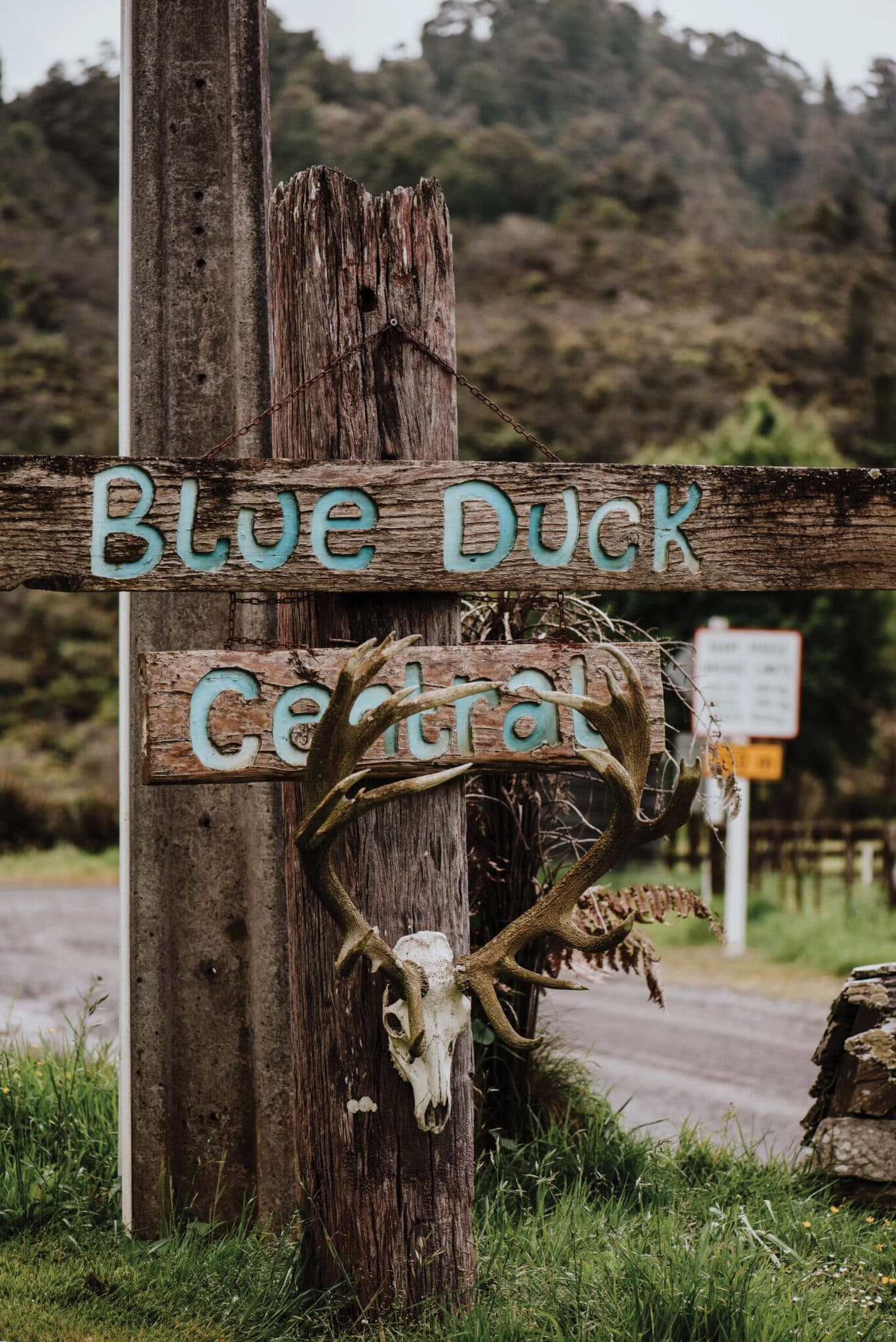  The sign
for Blue Duck Central, Sandy and Dan’s cafe
and activity booking office. The decoration
was Dan’s idea. “He puts deer heads on
pretty much everything!” Sandy says.