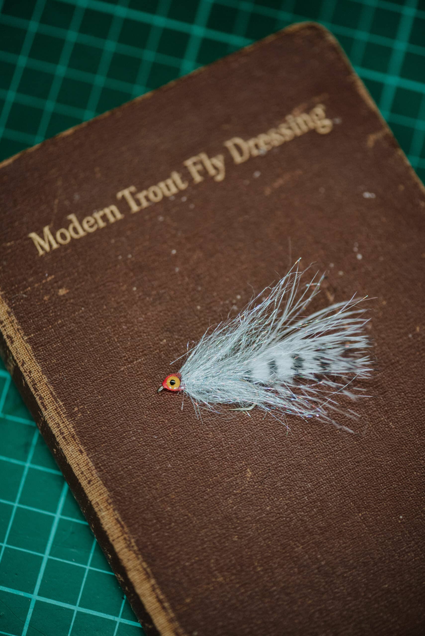 One of Bronwyn's flies