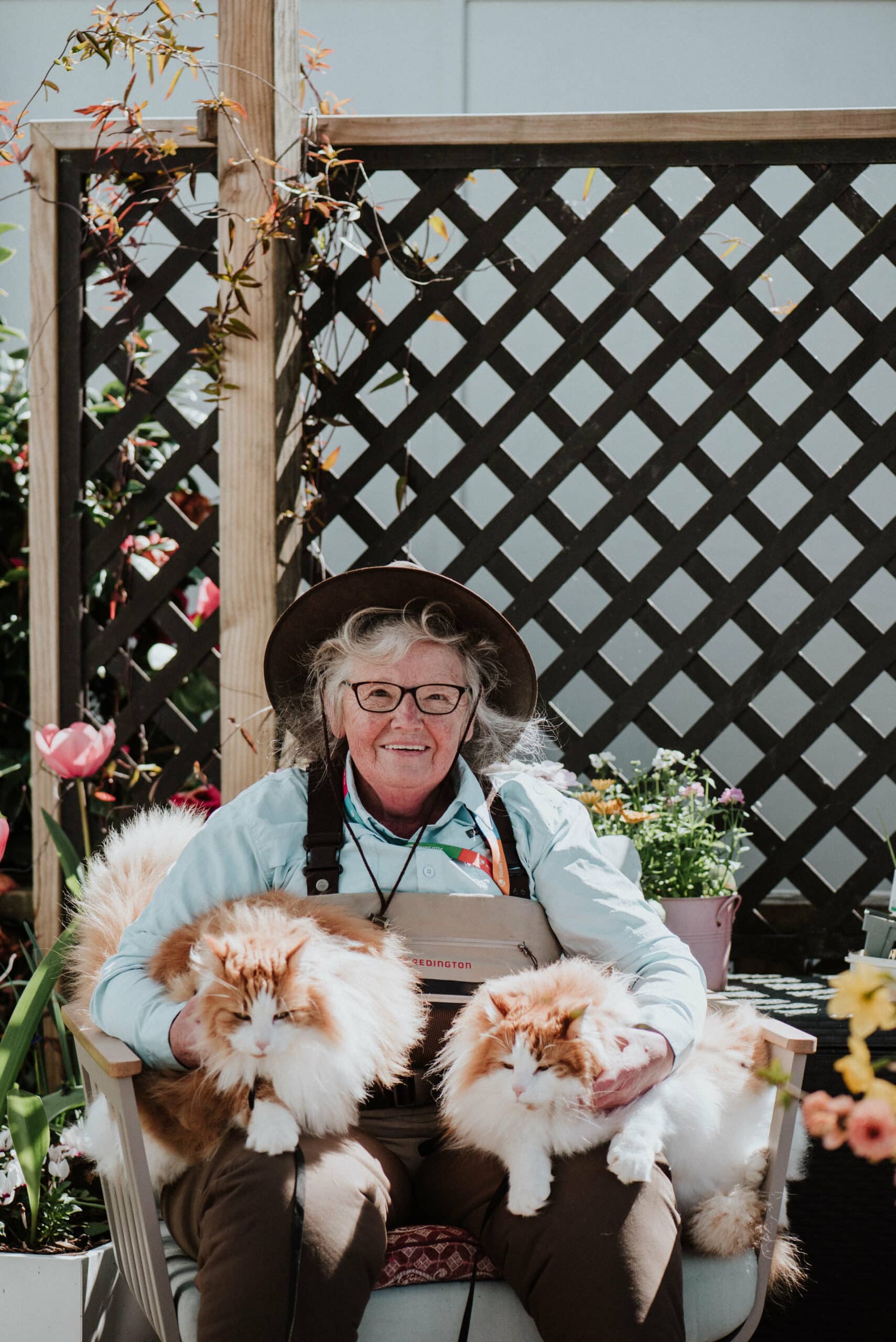 Bronwyn and her cats