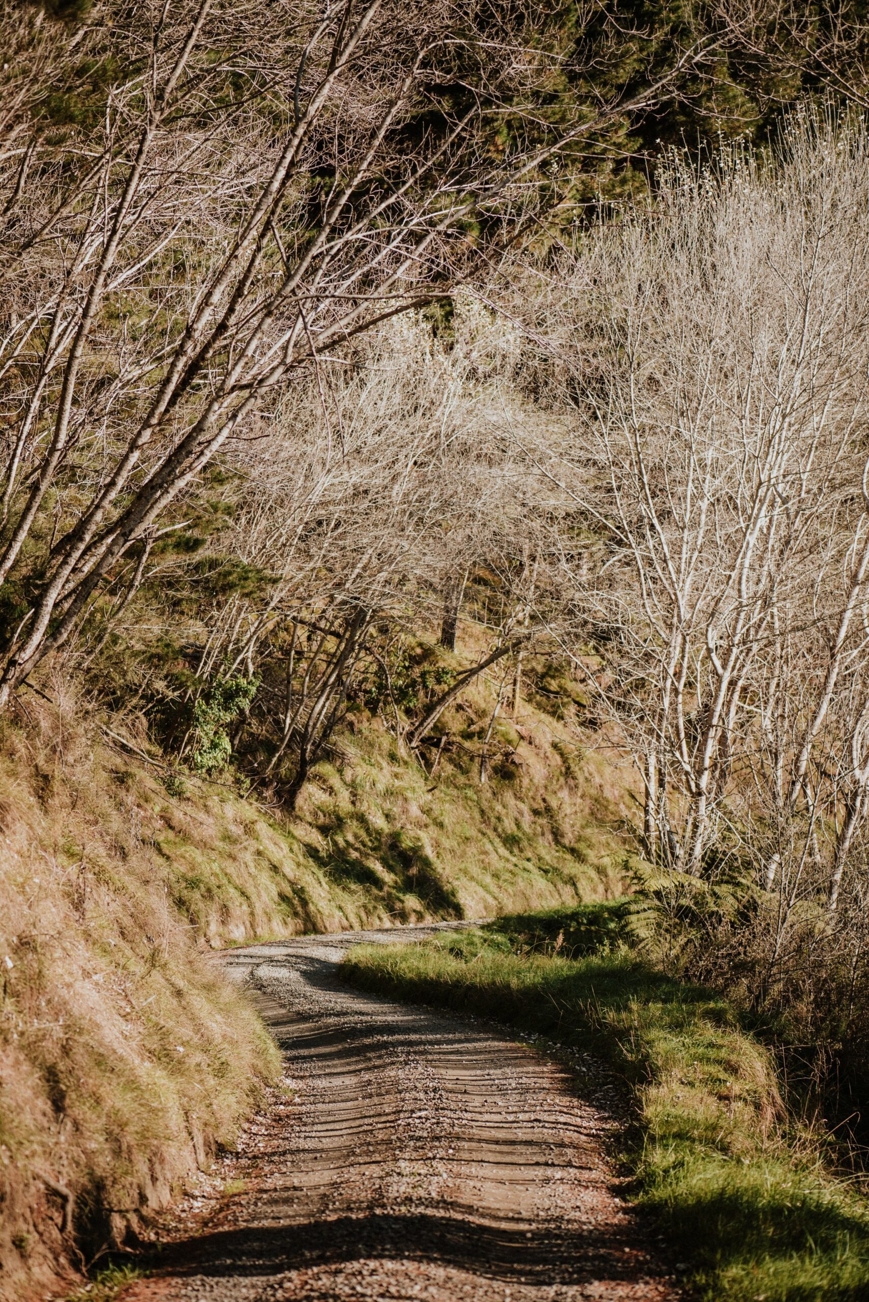 The River Road.