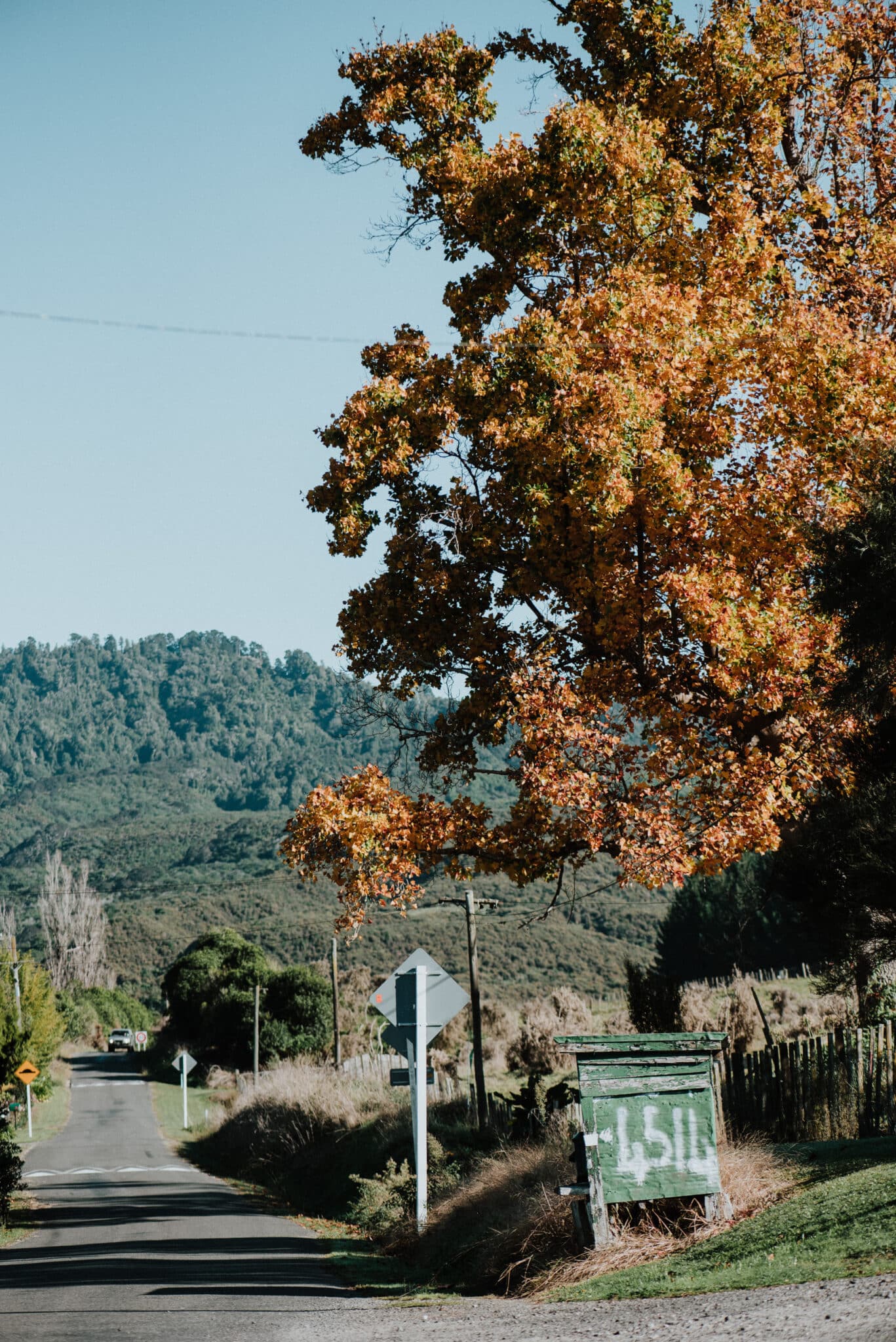 The rural road stretching out into the distance. “I entered in the Whanganui Heritage Awards because the Mail Run is a really old tour. It used to be done by boat. It’s something like 135 years old. So it was really nice to
be recognised for keeping it going,” Tracy says