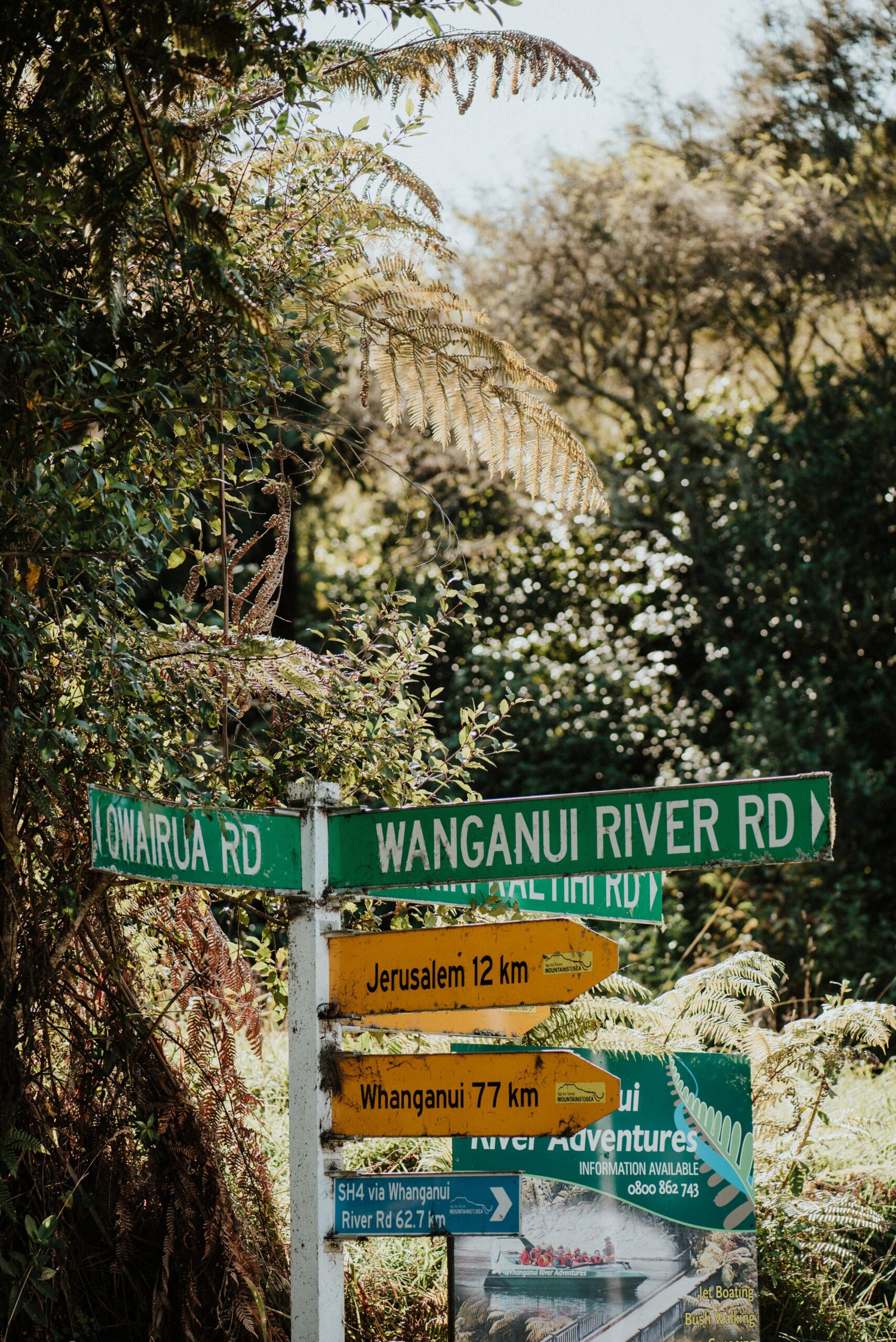 Street signs on Tracey's mail run.