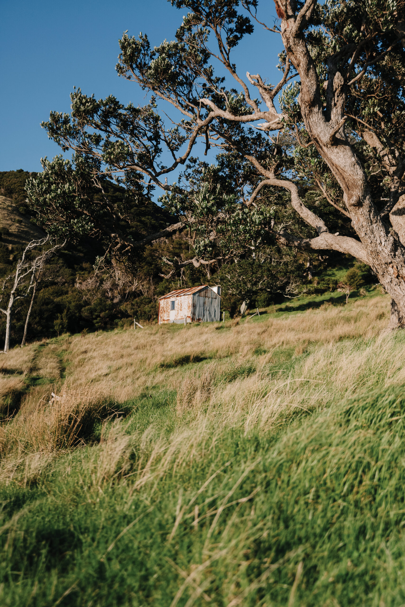 Above. Cath describes how this hut “sits above the Pinnacles, which are the large land formations behind it.” 