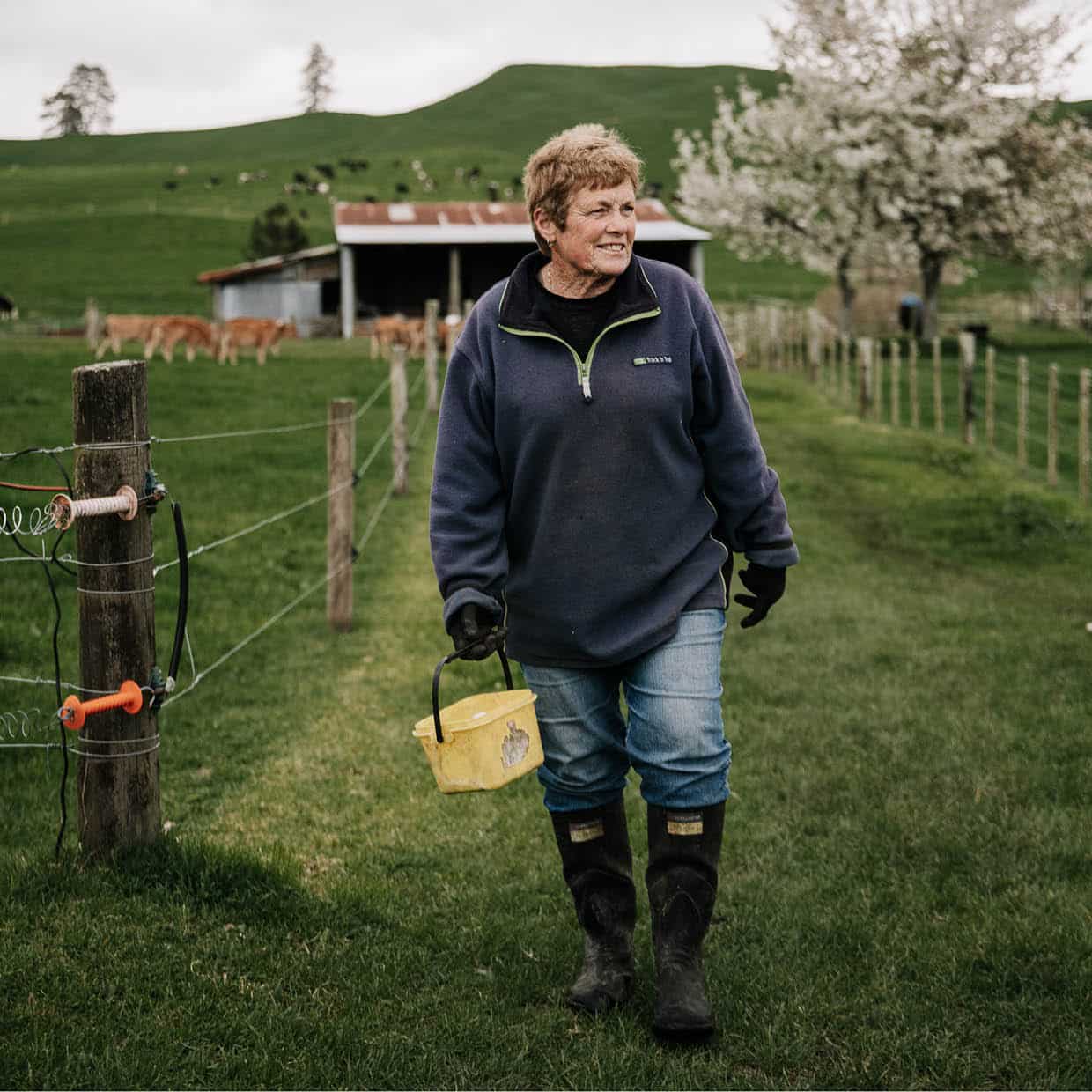 Above. “We always had chooks growing up. We used to
say, ‘Mum’s a bit fowl-minded.’ She always loved animals, in her own way, and she loved it here. She came and stayed with me
before she passed away and she just loved it. Her ashes are spread in my backyard and around the chook house.”
