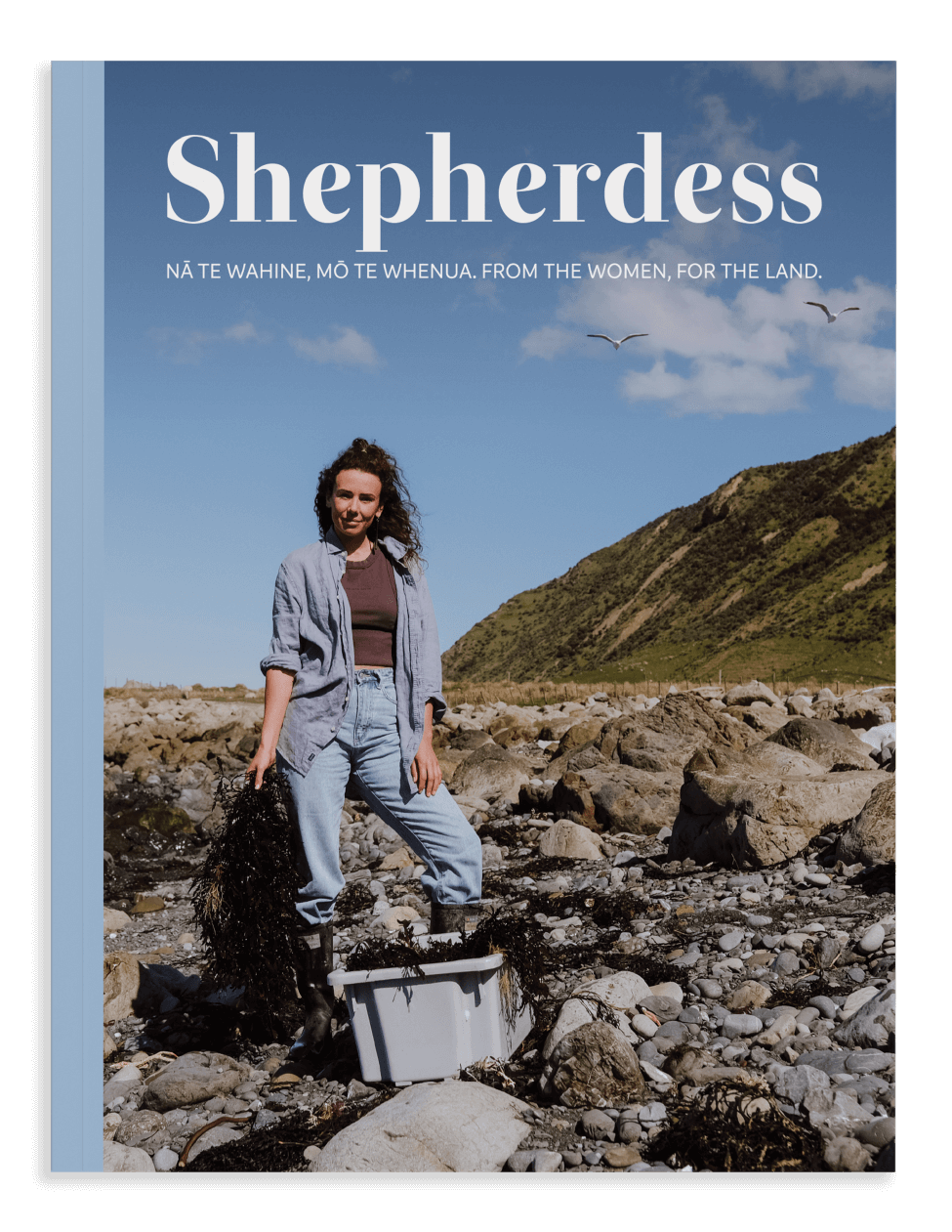 Cover_Web