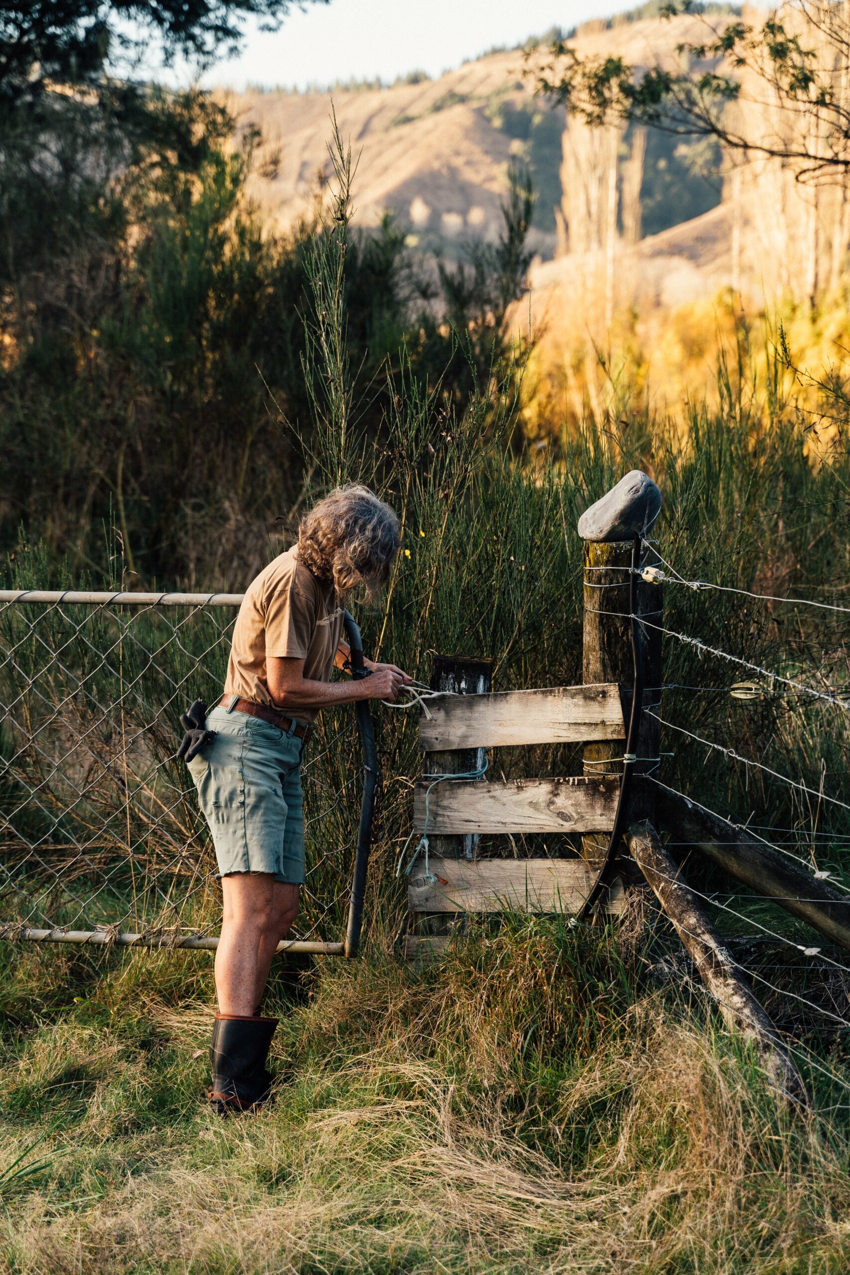 "Years ago, tobacco was a huge industry here but there's been lots of diversification since then, with bigger farms and forestry at one end, and lifestyle blocks and horticulture at the other."