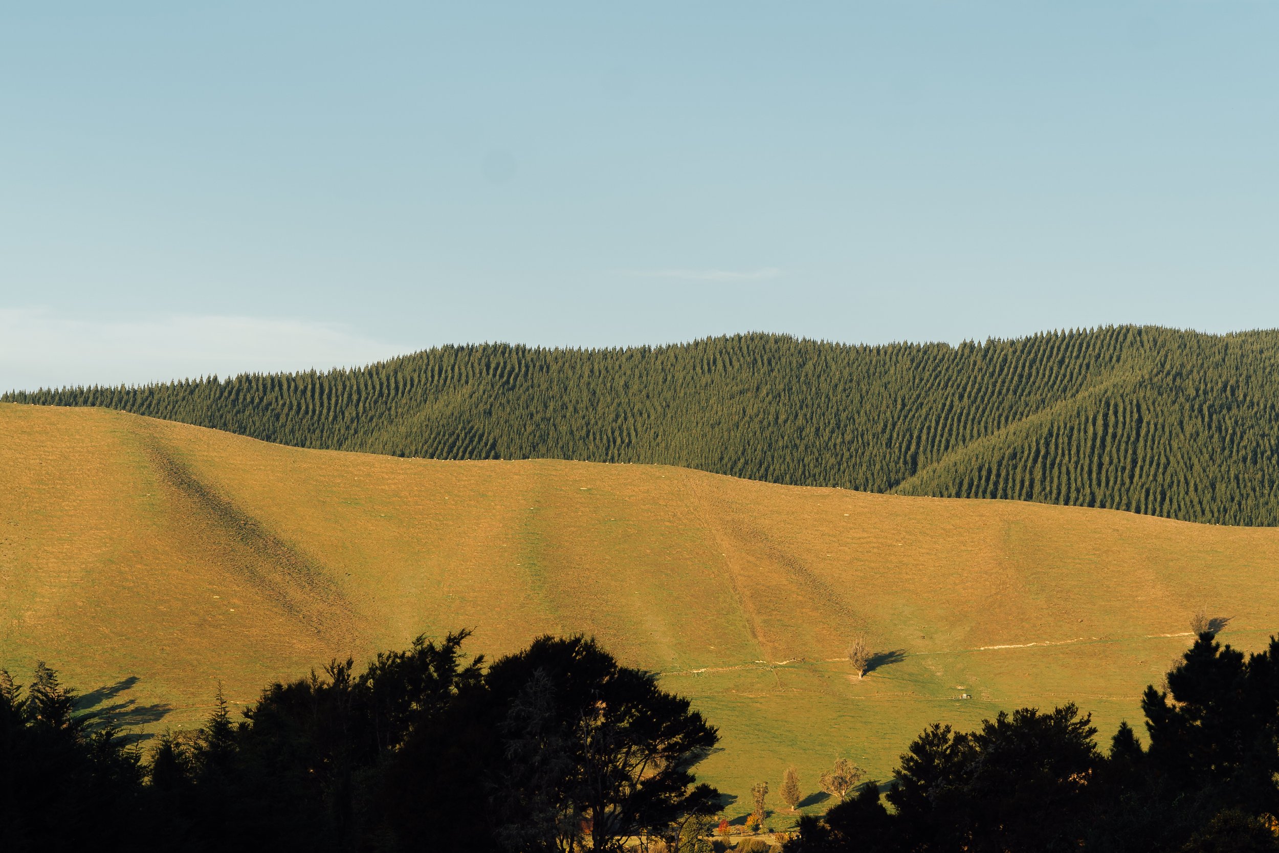 "The Motueka River is semi-graded, so it moves a lot and if we have a significant rain event it really changes. One of our big issues is balancing human use and river movement. Should we be giving more space to the river, rather than farming right to the edge?" Jo asks.