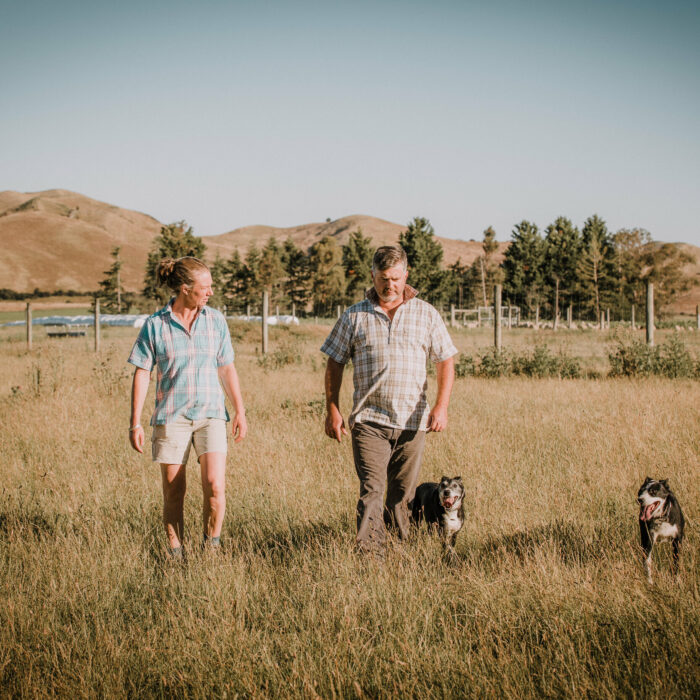 Two men and their dogs stand in a field