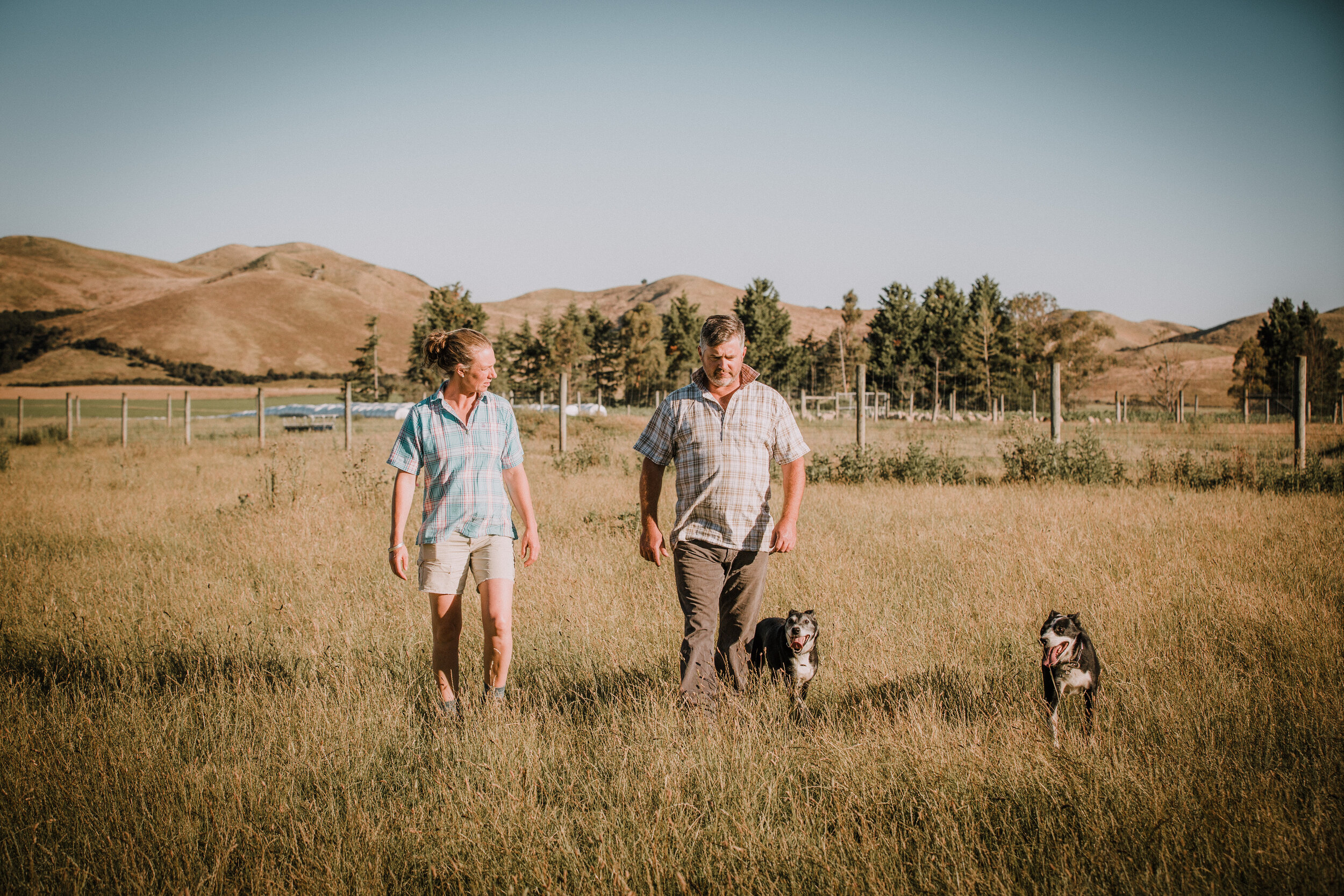 Two men and their dogs stand in a field