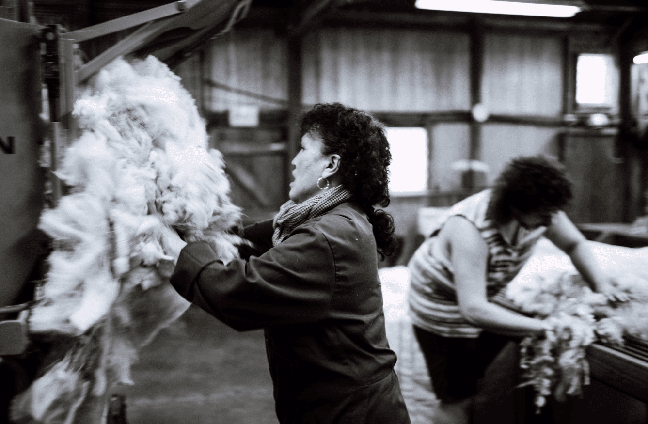 Wool-handler Esther Kidd throws a fleece during shearing
