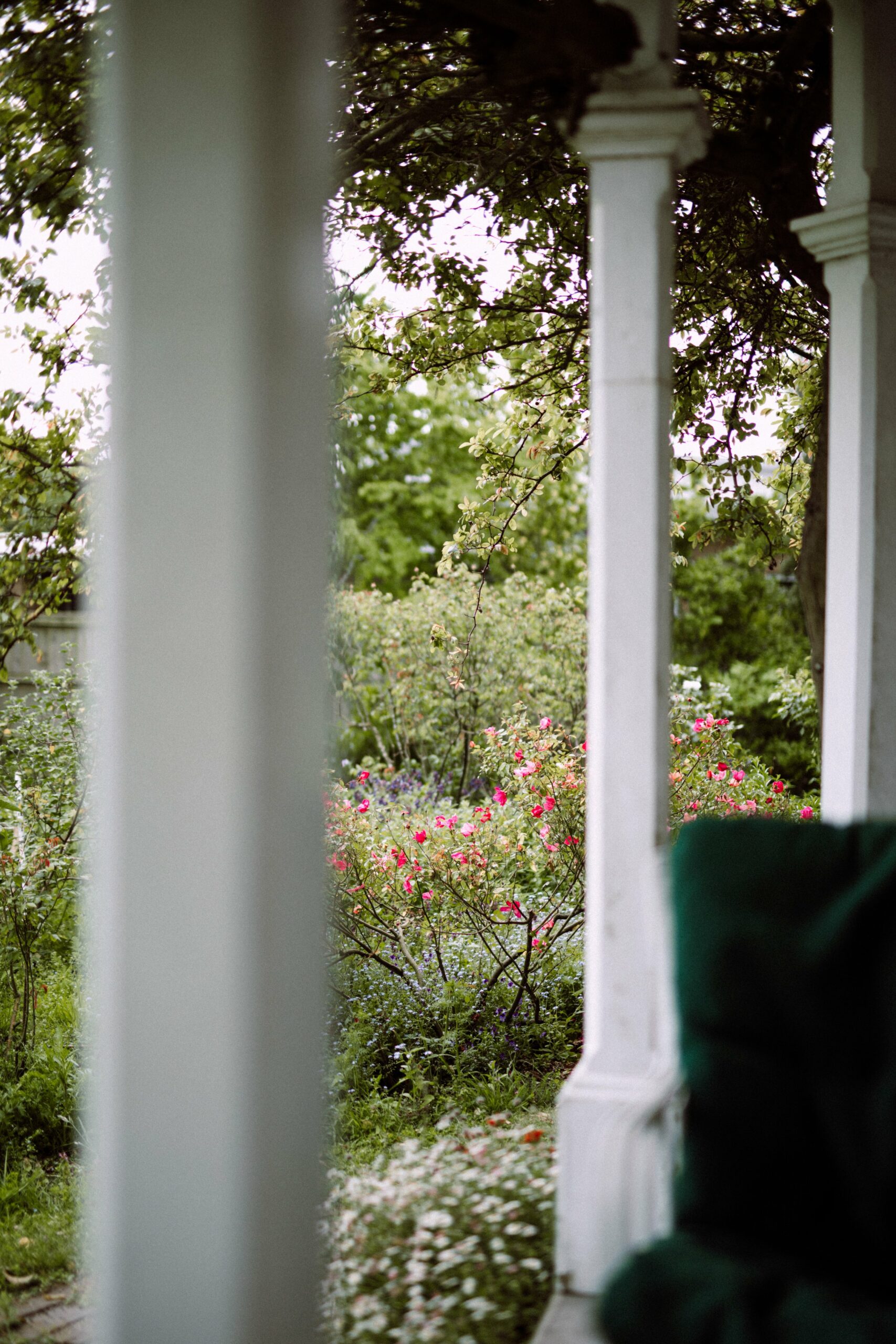 Verandah posts and garden