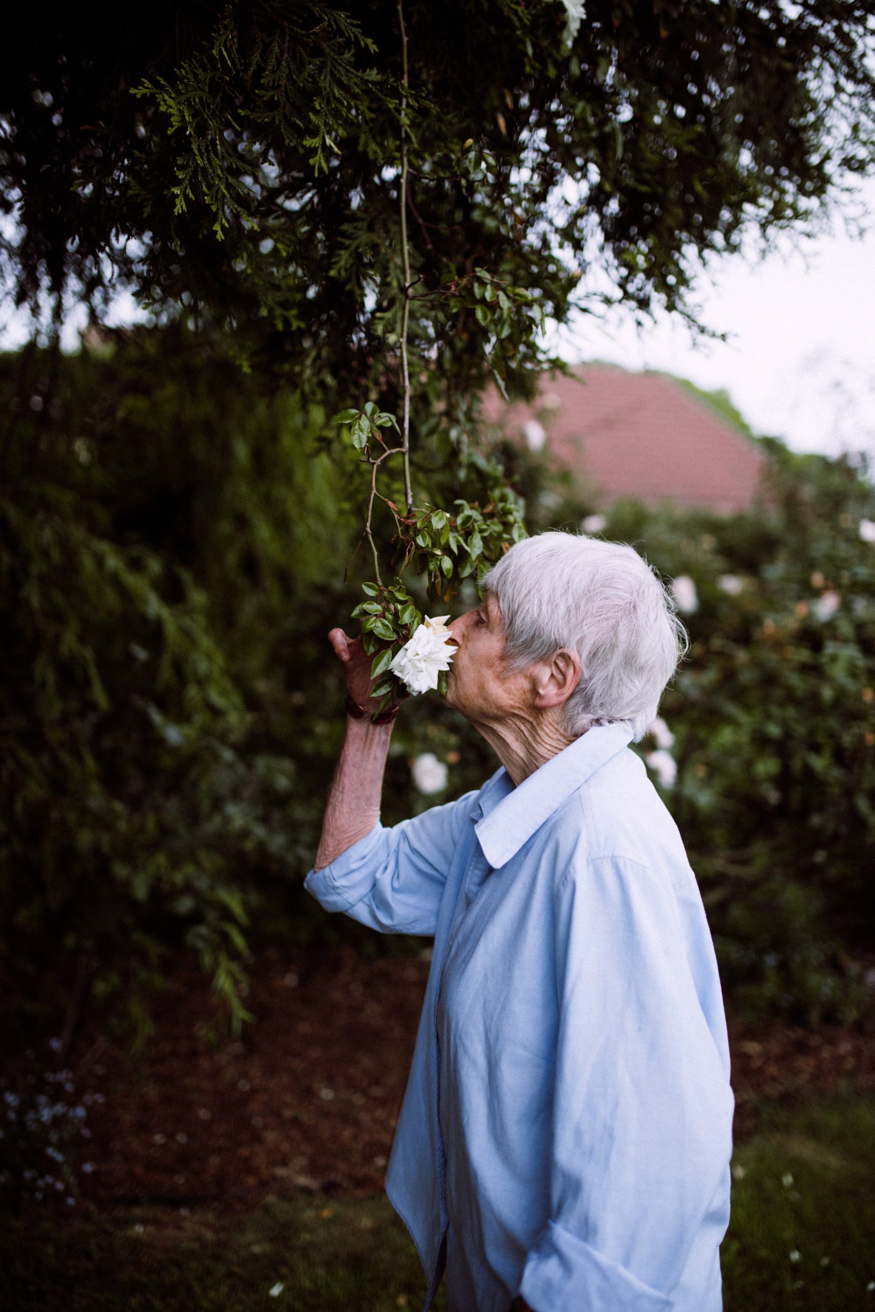 "Believe it or not, we had more trees back then," Josephine admits