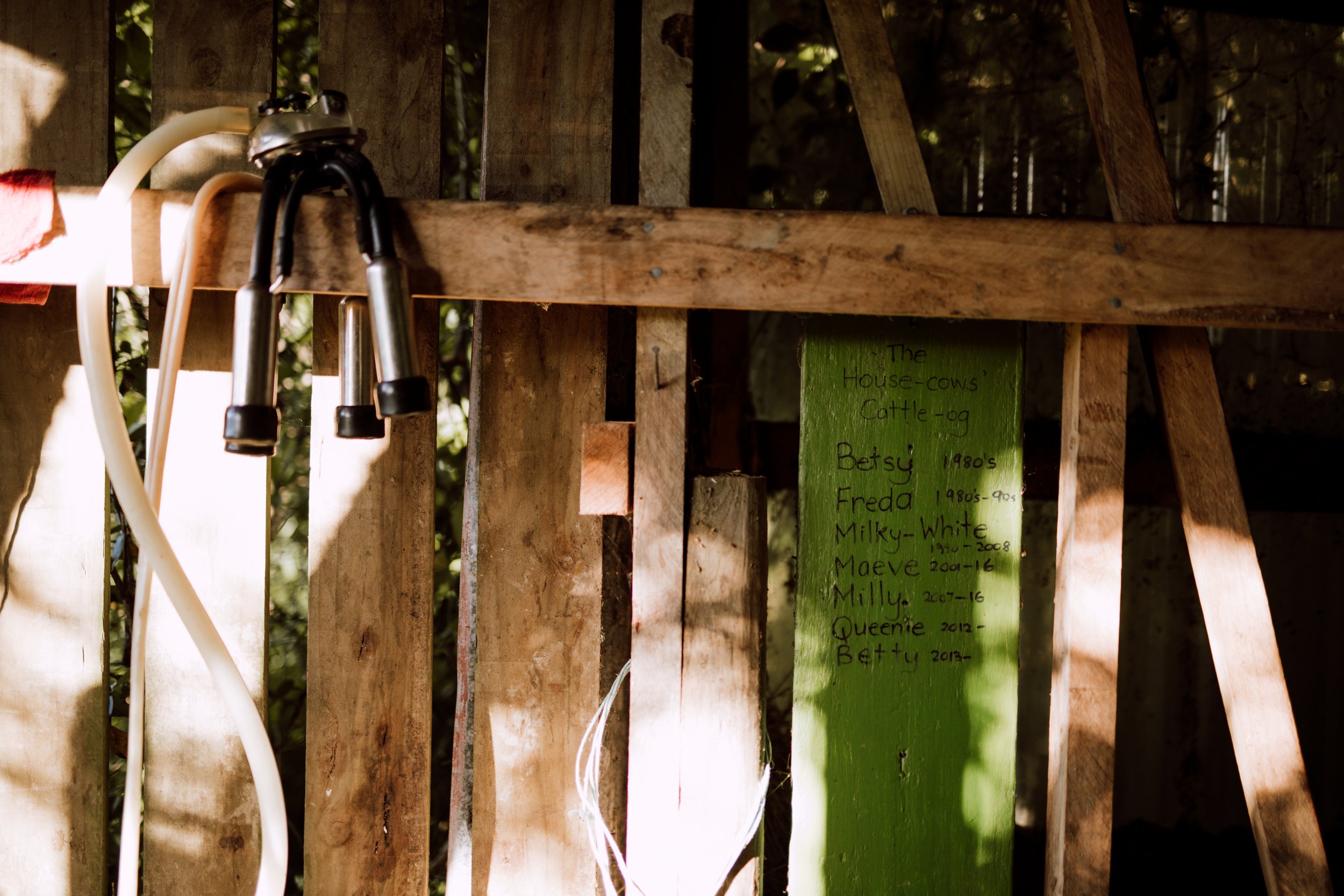 Scenes from around the Gerard family farm.