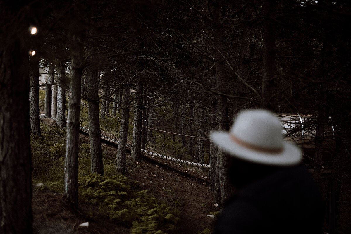 A wooden bridge in the forost