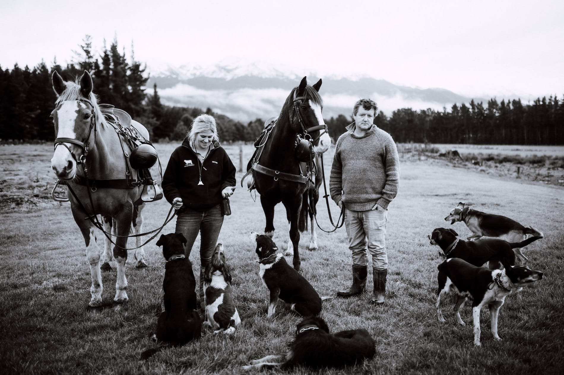 Black and white image of a woman and man standing with one horse each while seven dogs look up at them