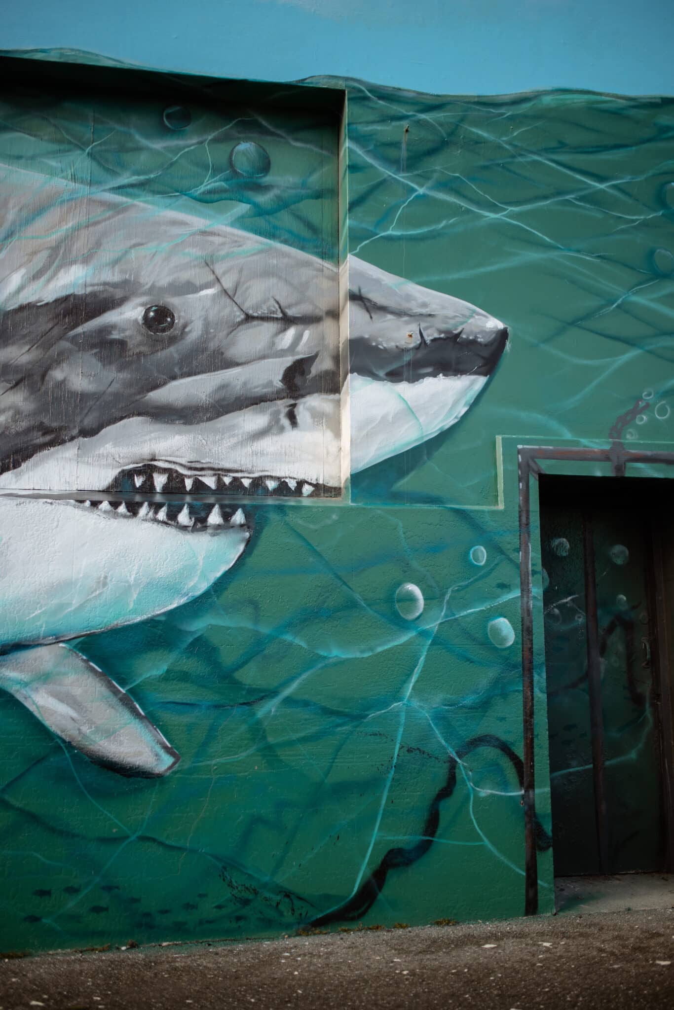 Shark mural in Bluff