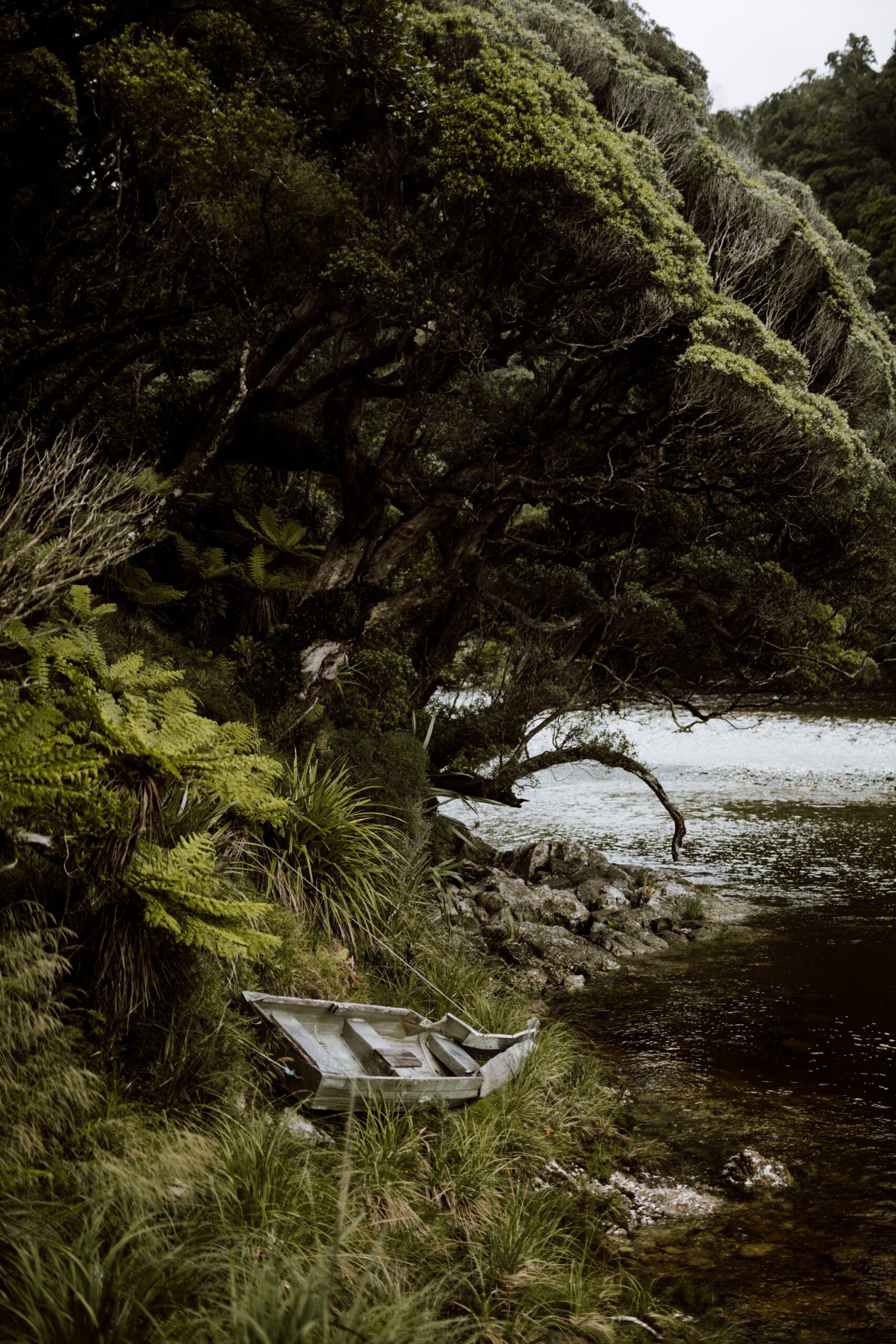 Two dinghies are carefully placed and tied to trees on each side of the river. Trampers can - accompanied by a swarm of sandflies - make their way to the homestead, tucked away in the towering flax. "I usually pick people up from across the river, but I can't always hear them coming," Robert explains.