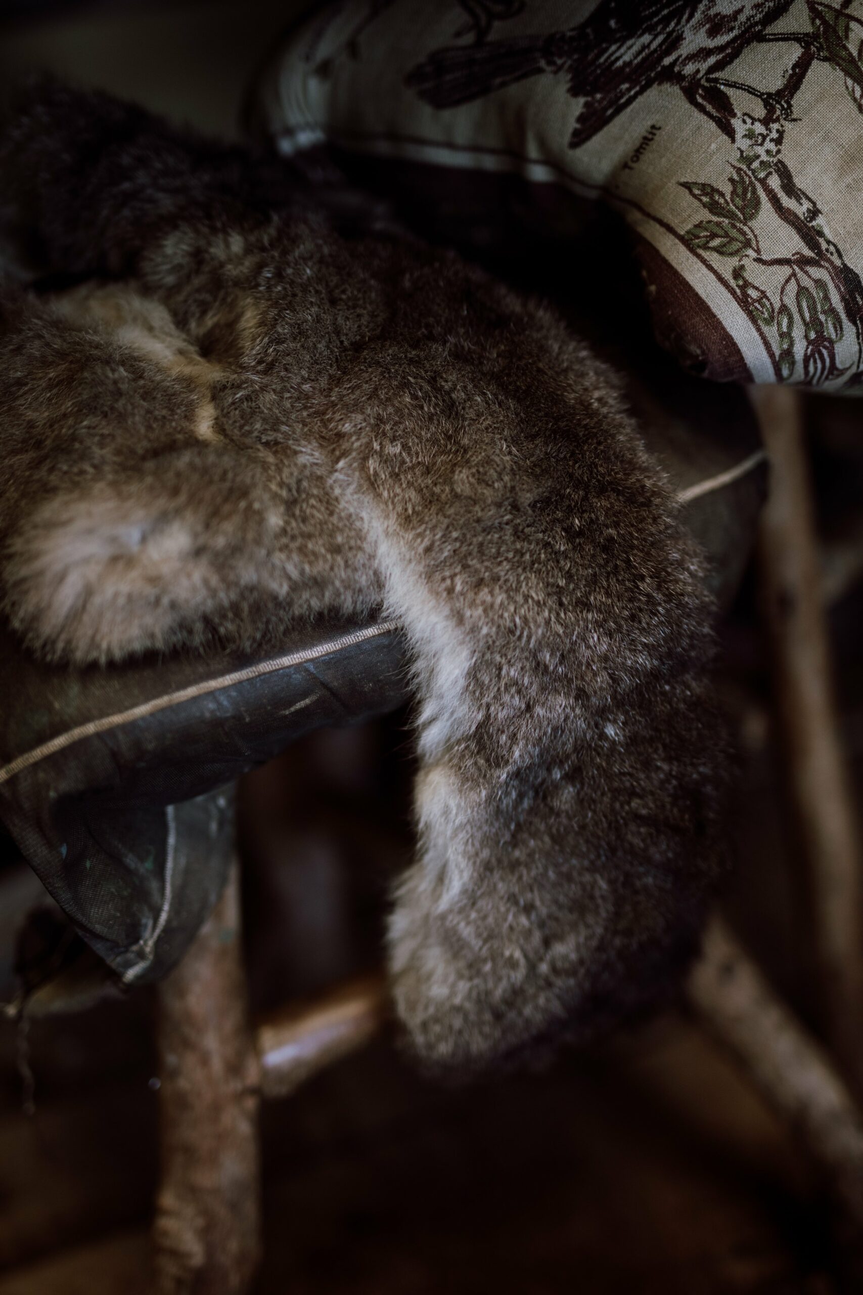 In her thirty-two years living on Gorge River, Catherine has seen the impact possums and deer have on their environment. New Zealand ran a culling programme before the commercial value of venison was recognised. According to Catherine, deer were first hunted on the ground, and later from helicopters, then captured live until the farms were filled and finally culled again from smaller choppers. It has been twenty years since the market collapsed, and only small numbers are still hunted. "We notice the increase in deer, but it is much more of a problem in the further reaches of Fiordland where they have pretty much had no control at all. We wonder how long it will be before they get back to levels seen in the forties and fifties and what we will do about them next," she says.