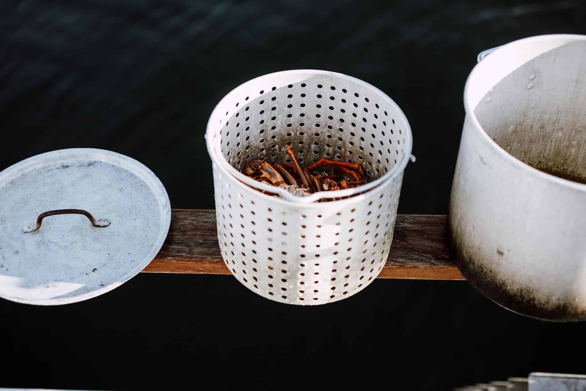A freshly caught crayfish, waiting to be steamed.