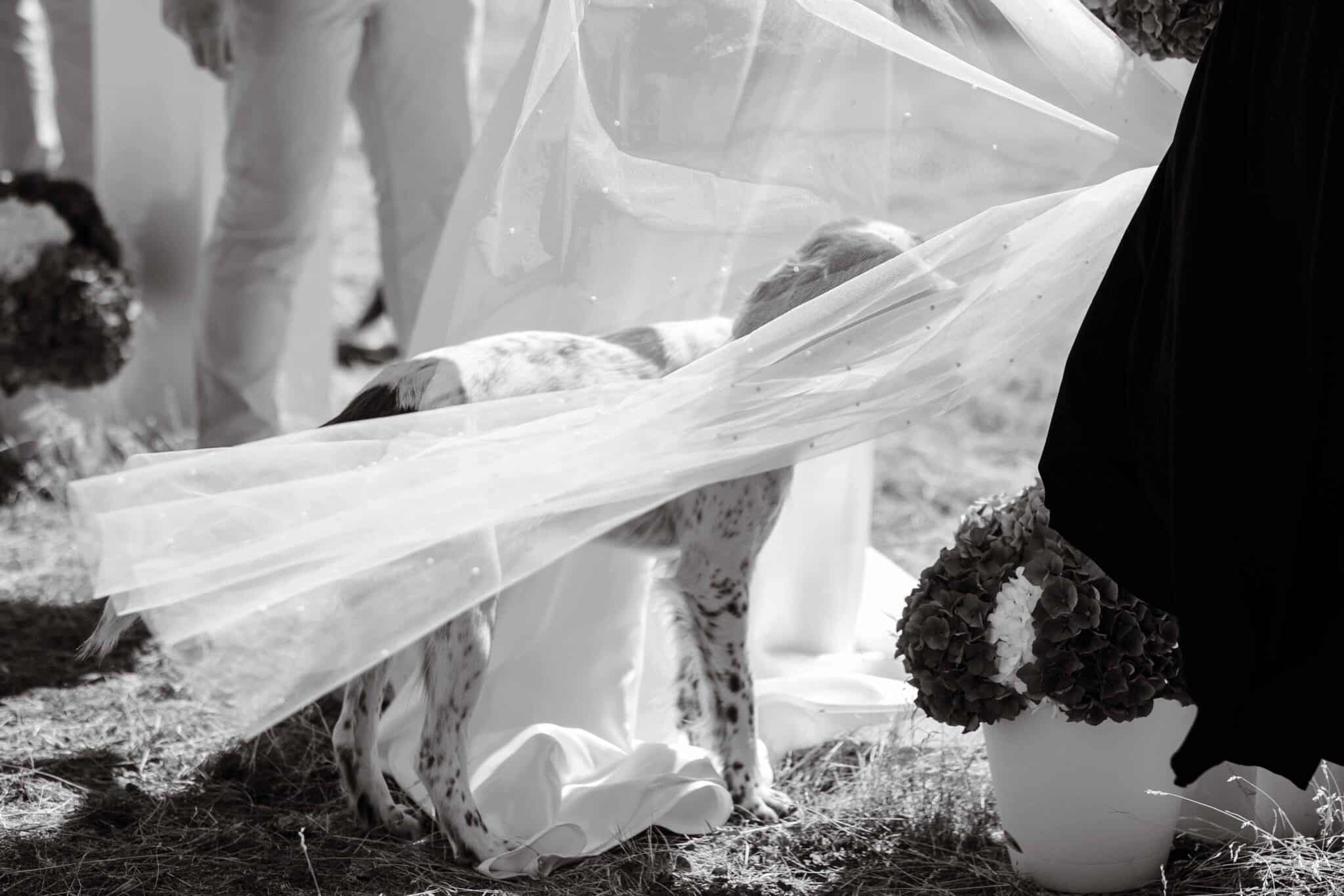 FrancineBoerPhotography-PATRICK&BRENNA315min