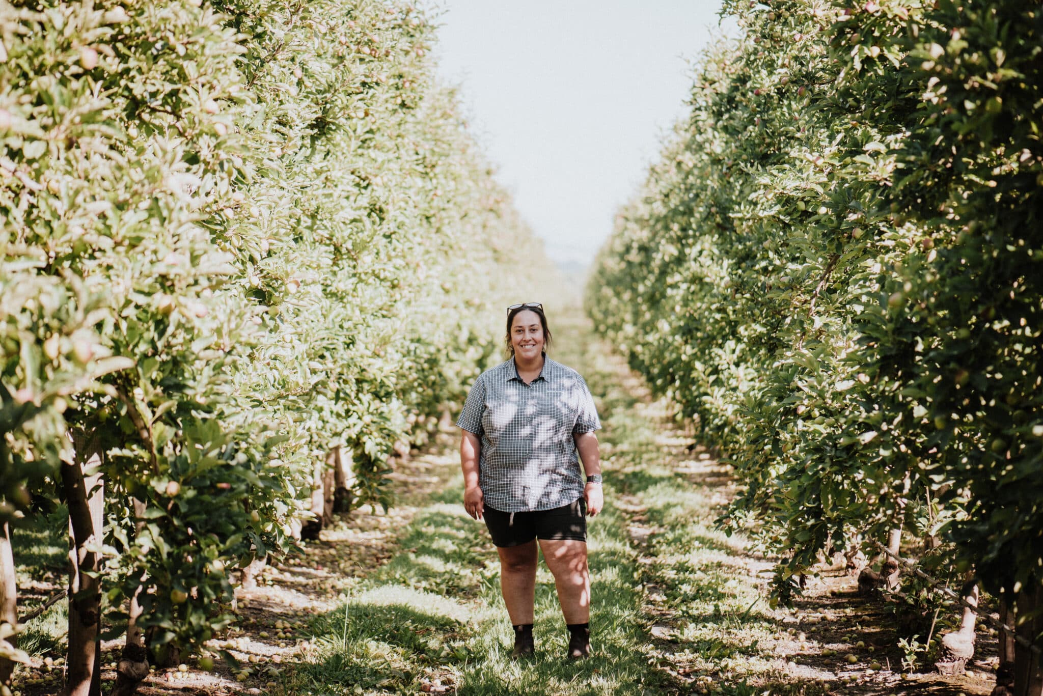 Hannah in an orchard at Twyford, Hastings, among a block of early-season Galaxy apples. “It's about meeting the right people that'll support you, and working hard yourself as well, so that you're given opportunities - don't expect those just to be handed to you. You have to totally back yourself. And know that there's people that have made many mistakes before you as well, and learning from all of those,” says Hannah.  