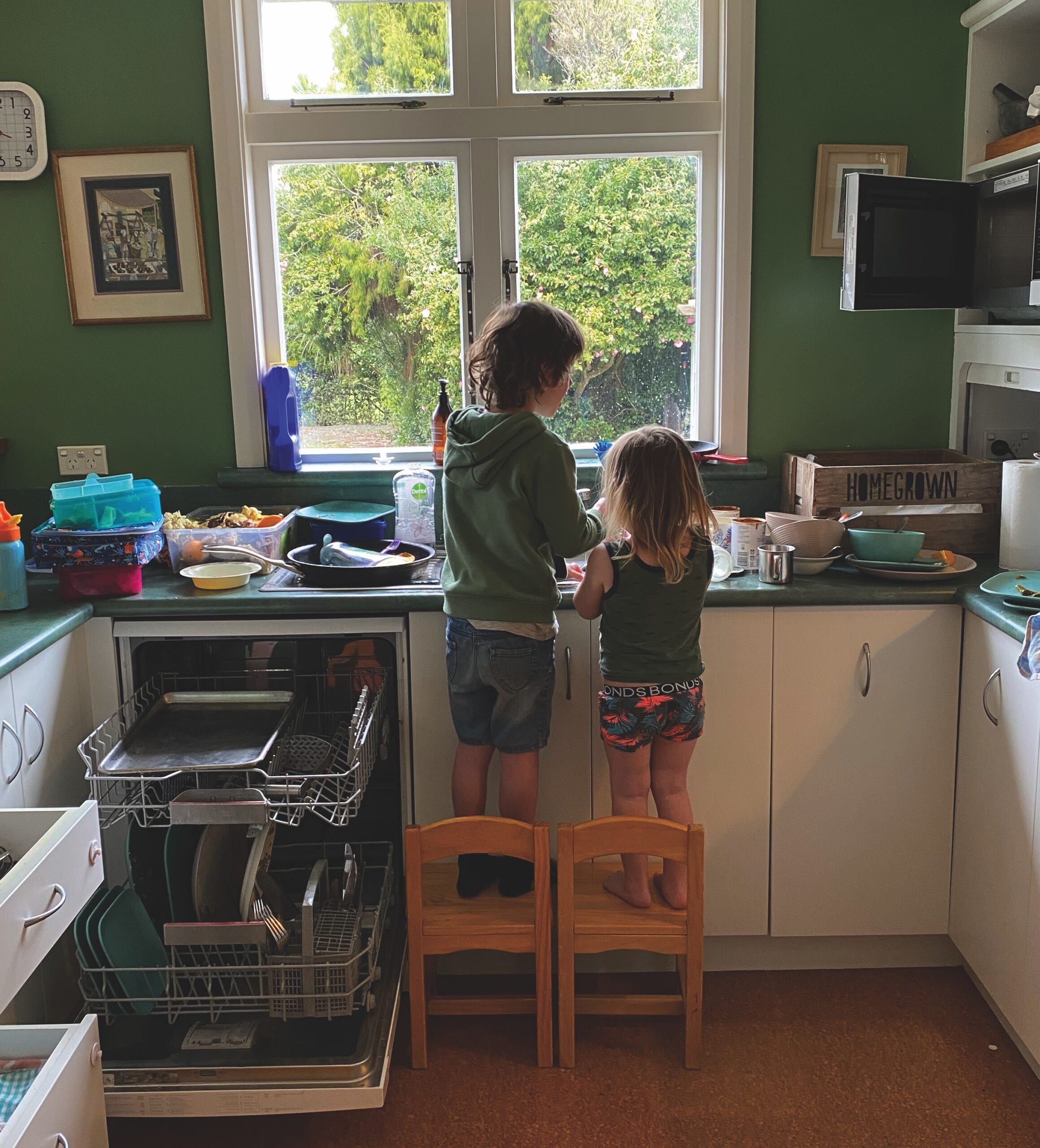 Above: Hartley and Tully helpfully washing dishes a few years back.