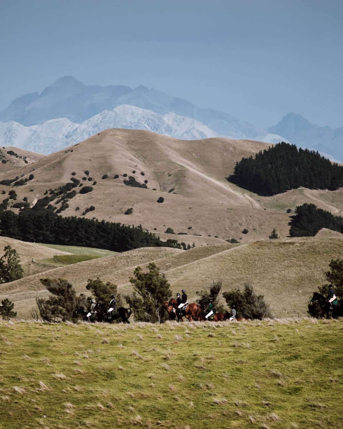 Riders on horseback out amongst rolling hills