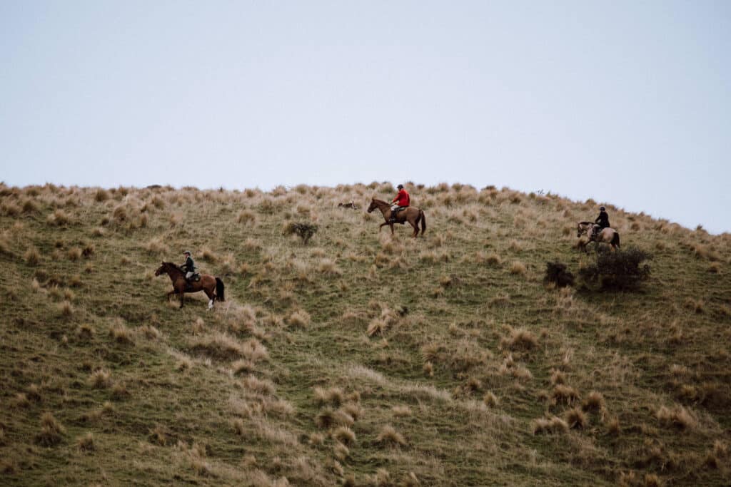 People on horses, out hunting