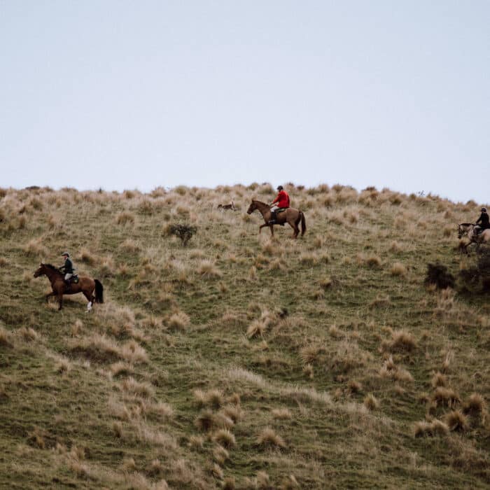 People on horses, out hunting
