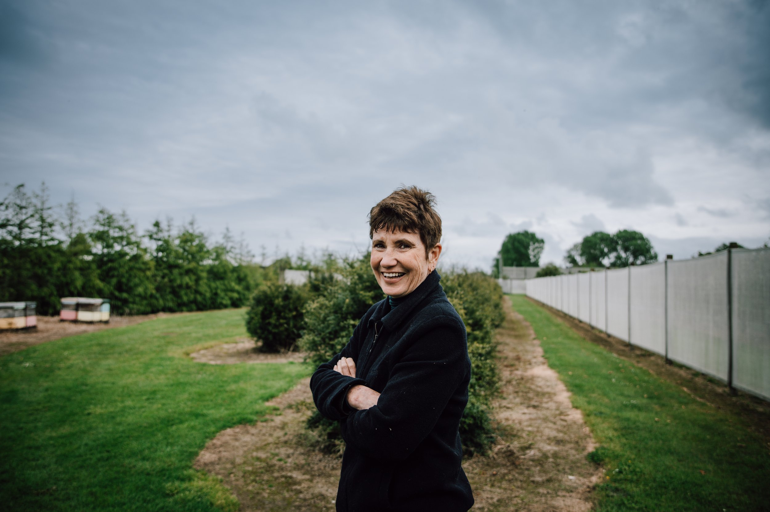 Dianne Downey - Love of the Land: The Limery