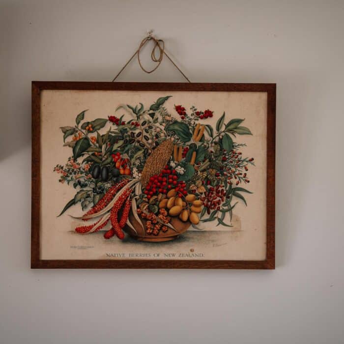 Picture hanging on a wall (Native Berries of New Zealand by Fanny Osborne) of a bowl of native berries