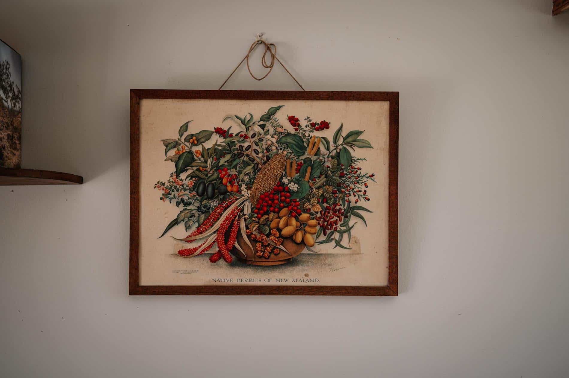 Picture hanging on a wall (Native Berries of New Zealand by Fanny Osborne) of a bowl of native berries