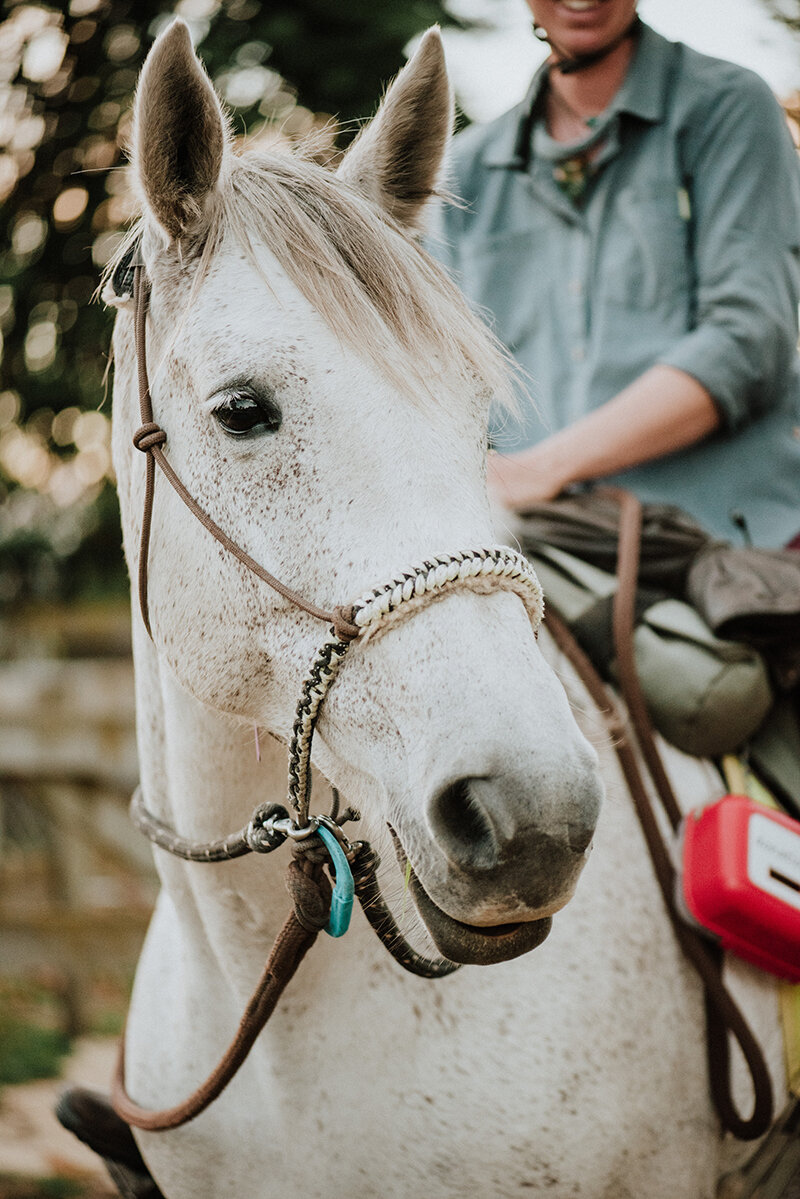 Close up of Larissa and her horse
