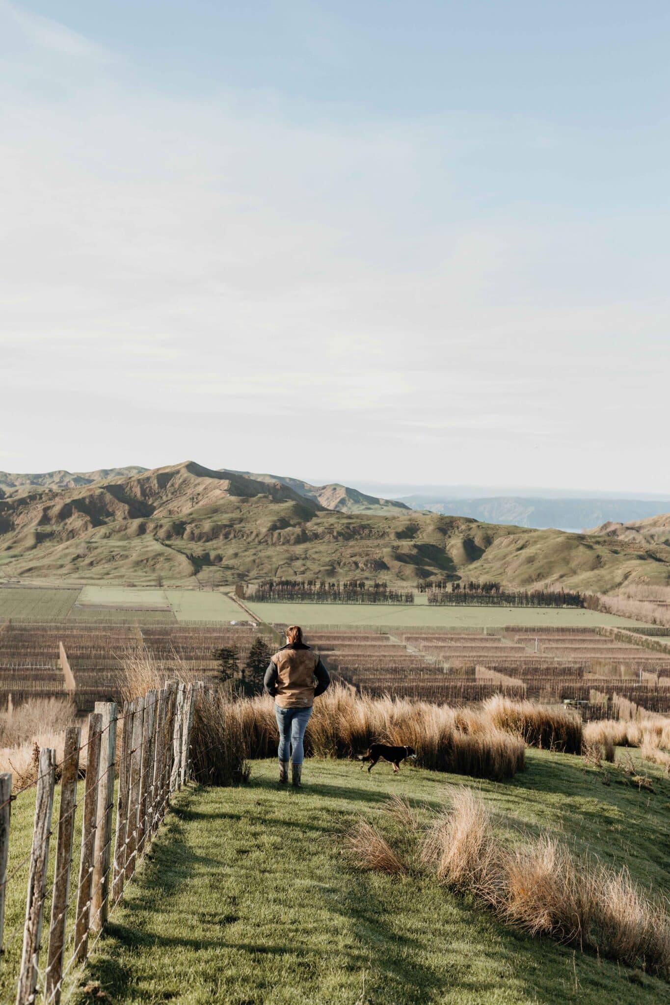 Nancy surveys
the expansive view towards Wai Station, and beyond to Māhia
Peninsula. “From day one, we didn’t do big family holidays. Our
family time was always on the farm, but it was such a cool
childhood being able to go out and play with all that freedom.”