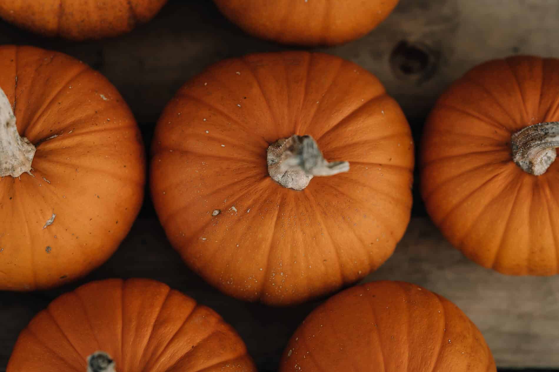 Pumpkins from Kiri’s farm.