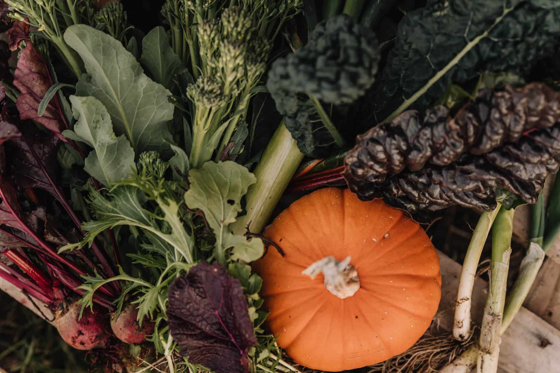 fresh vegetables
