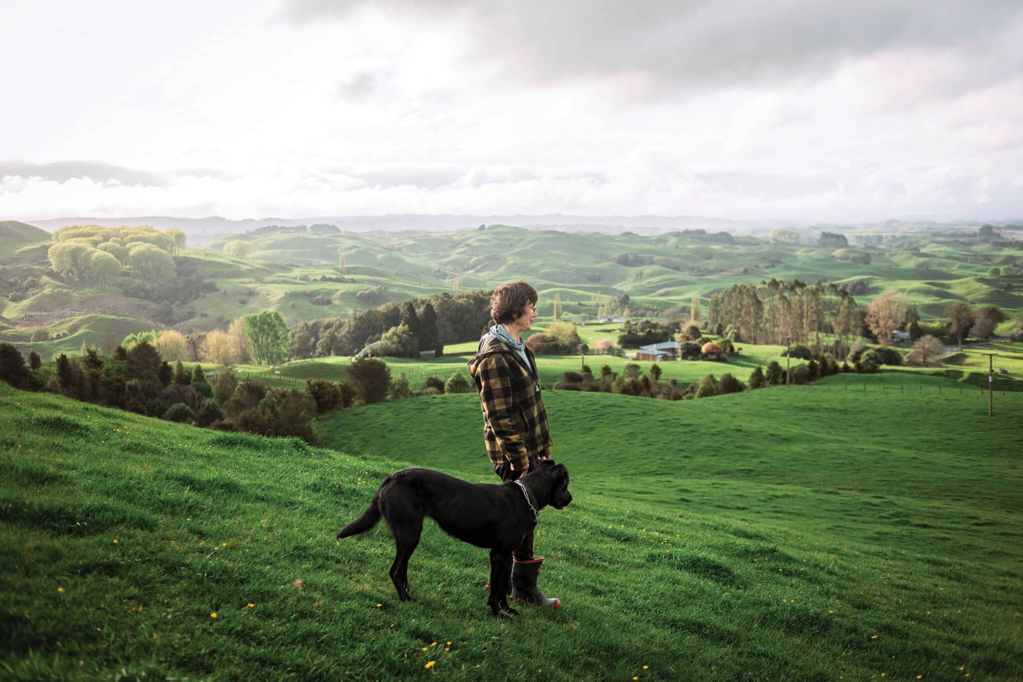 Above. “There was, probably pre-European, a big pā up above our house, and my parents didn’t want me to go up there because there were holes and all sorts of things that they had uncertainties about. But whenever I was there, I had this feeling of being wrapped in a cloak.”