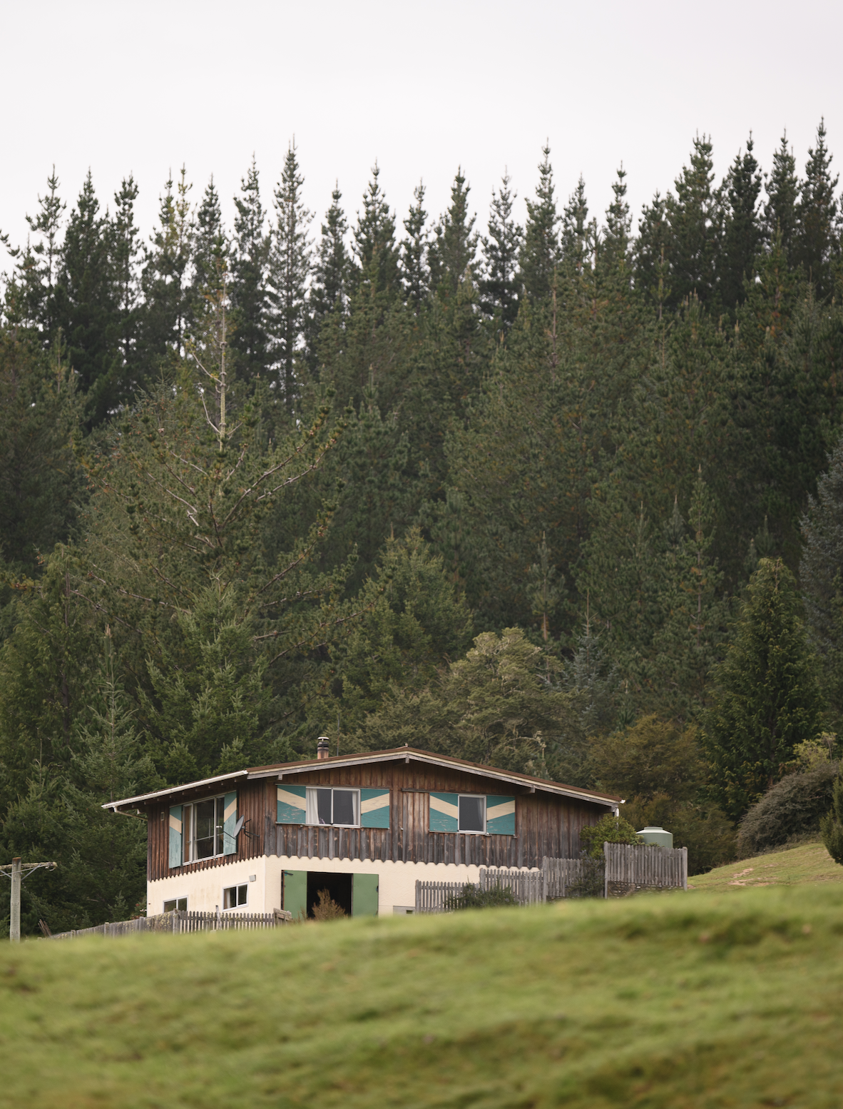 Built by her late husband, Erica Jelinek's Austrian-style home overlooks the paddocks where her cattle graze. She still remembers when they had only seven milking cows. "There were no fences, so they ran all over the place. My husband would go looking for them on his bicycle and call them."