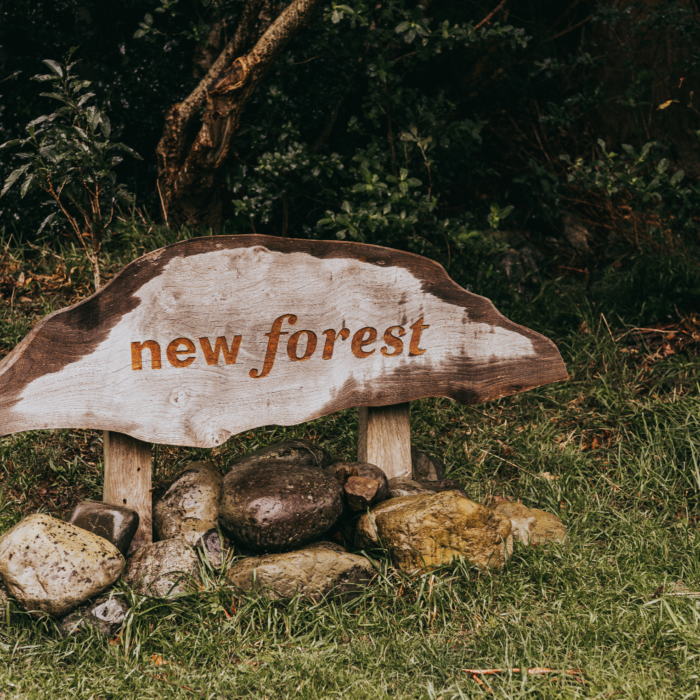 New Forest - sign