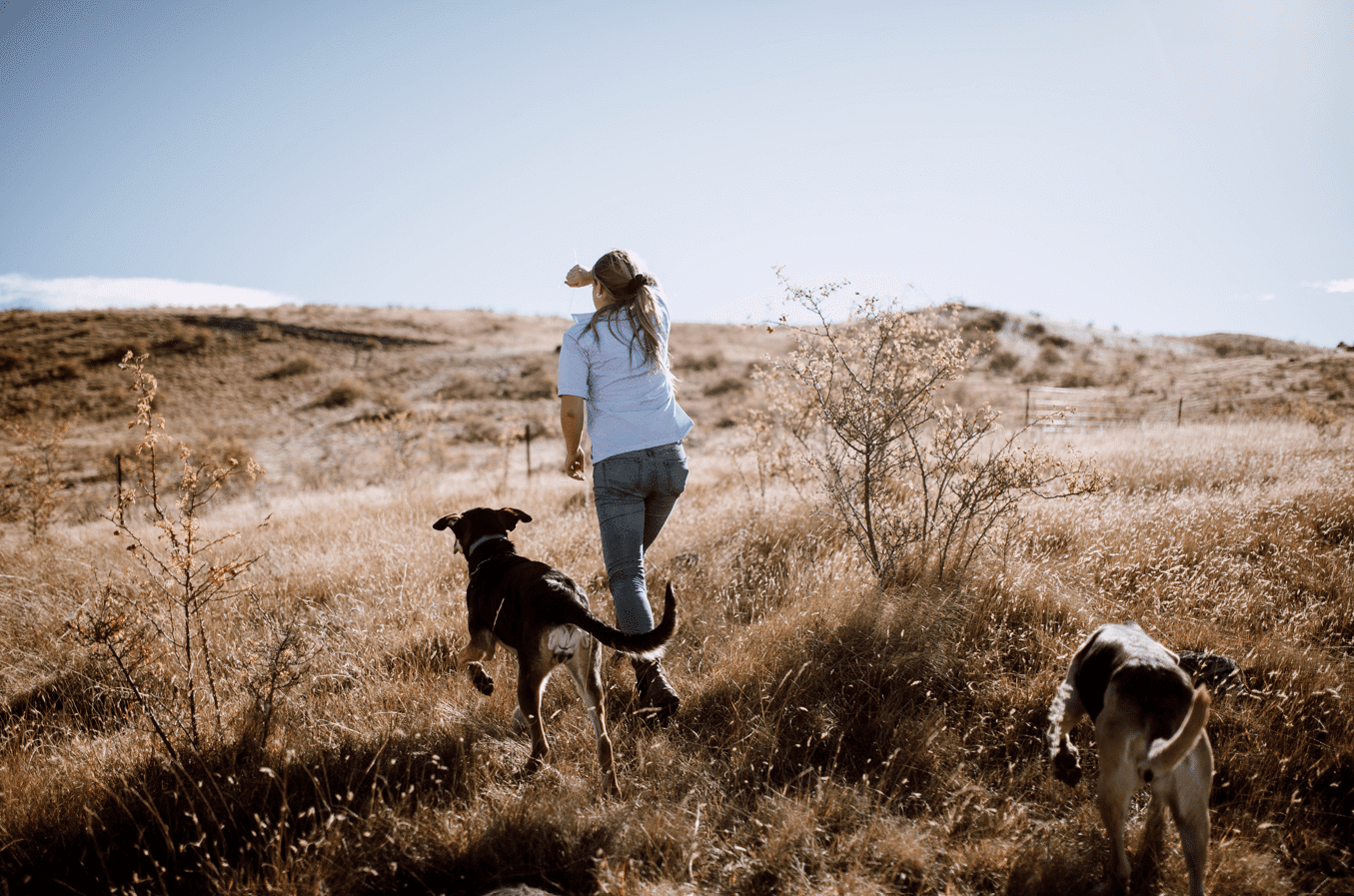 Shepherdess PRINT 19