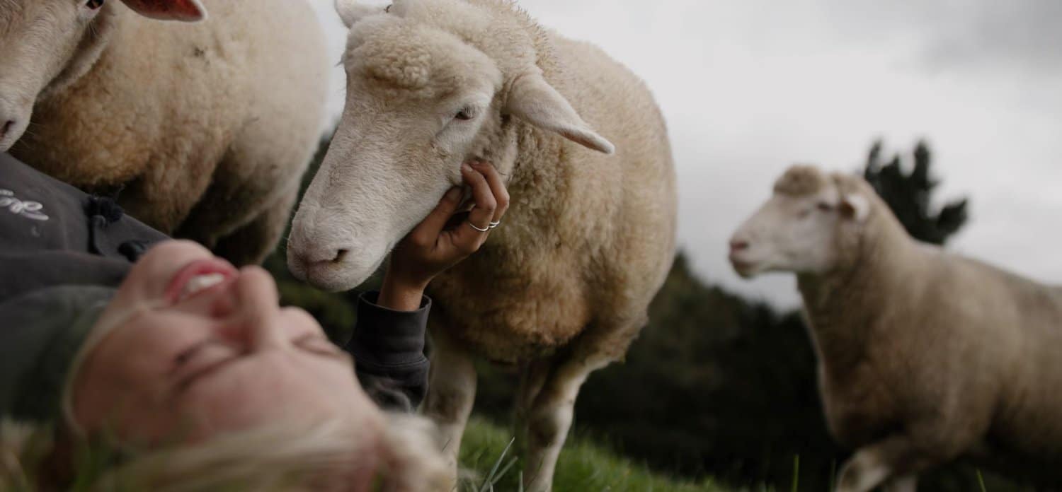 Sophie+Barnes+and+sheep+Charlie+Higgison+shepherdess.co.nz