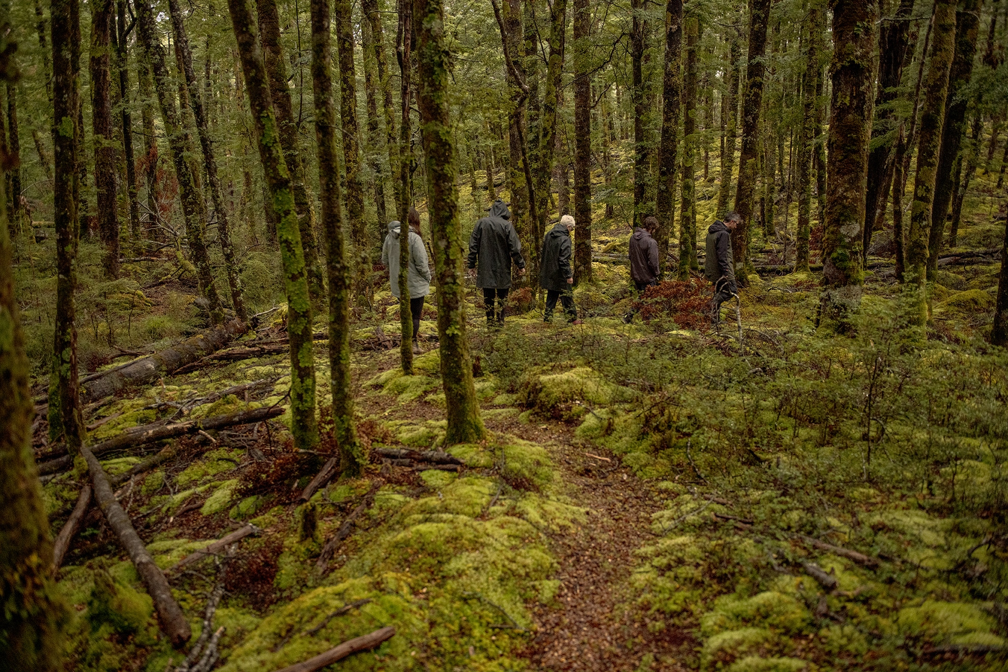 Above. During his time in the high country, Raymond also spent time at the other stations that make up the catchment group – Flock Hill, Longhill, Craigieburn, Mount White and Cora Lynn. “Michael McSweeney manages the lodge at Cora Lynn Station,” says Raymond, “and he takes guided walks, like this one through a beech forest, giving the history behind the forest, how it’s maintained, and its connection to Tangata Whenua. That ground is so soft, it feels like you’re walking on carpet. December the previous year they had some wildfires, and some beech forest was badly burnt. As a result, the catchment group has workshops around fire mitigation and how to protect what’s there. Everyone diversifies on these stations as well. The main income is the livestock, but they’ll have other projects running as well. And that was something that I realised, ‘Oh, okay, it’s not just beef and lamb.’ There’s also venison, honey, and they run tours – whether it’s hikes or horse treks. They are people who are making a living, and trying to care for the land. They have a really good relationship with Ngāi Tahu – they understand that need for that connection to Tangata Whenua. It was inspiring that the catchment group is mindful of the impact they have on the environment, and are working to ensure there’s a legacy – so that in three, four generations, anyone on that land has the same privileges that we had when we were there. I thought it was just an incredible way to see the world.”