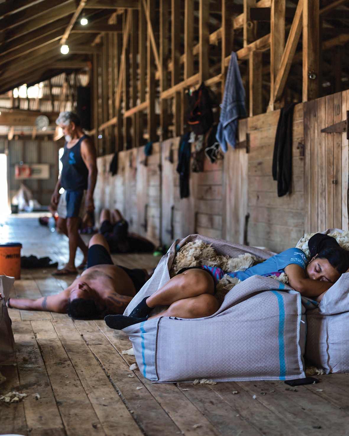 Woolshed lunch break